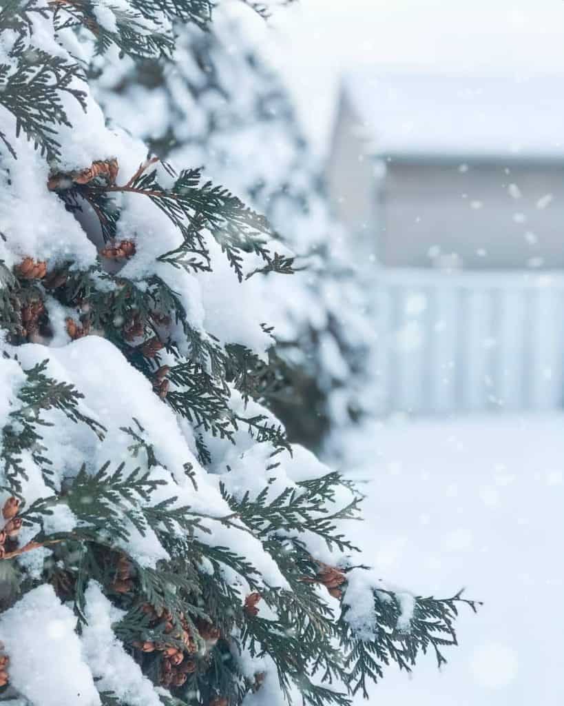 Winter Backyard Activities for Adults