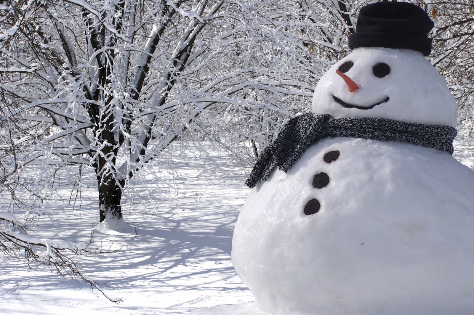 Sammi's Blog of Life: Fun Winter Activities for Kids