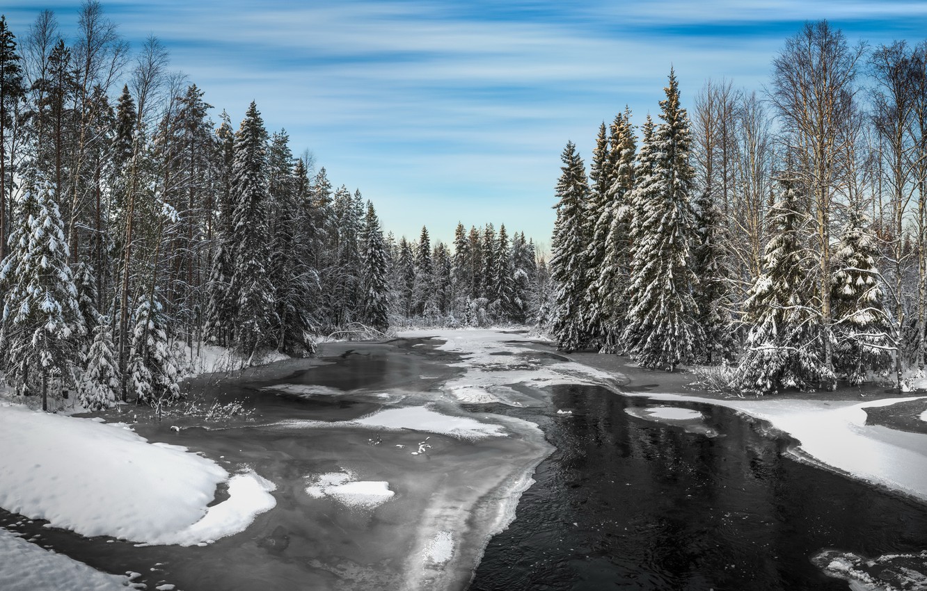 Wallpaper winter, forest, river, Winter, river image for desktop, section природа