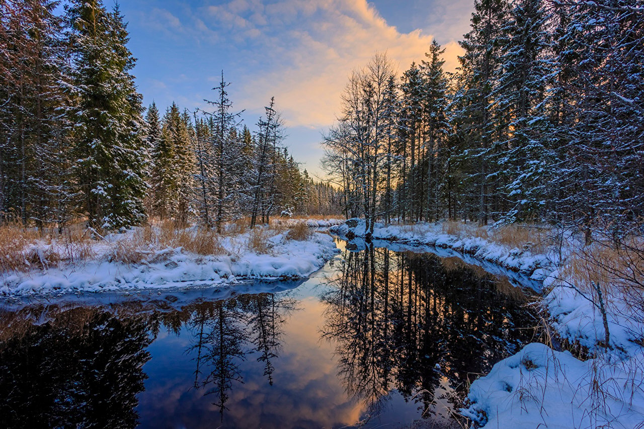 Desktop Wallpaper Arvika Winter Spruce Nature Snow Forests river