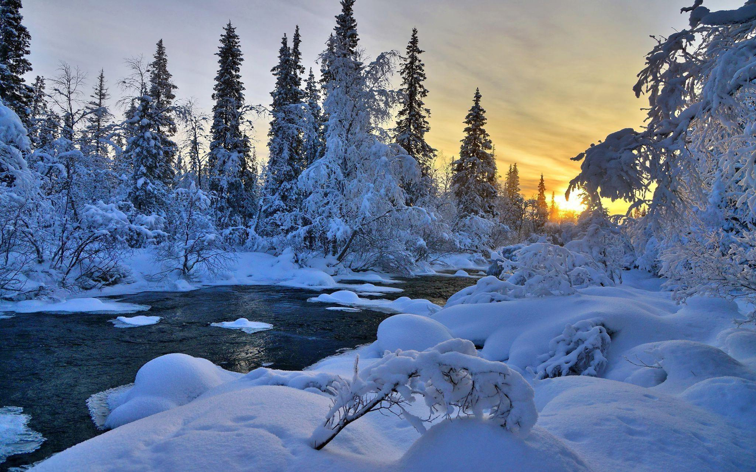 Winter River Nature Trees Landscape HD Wallpaper, Wallpaper13.com