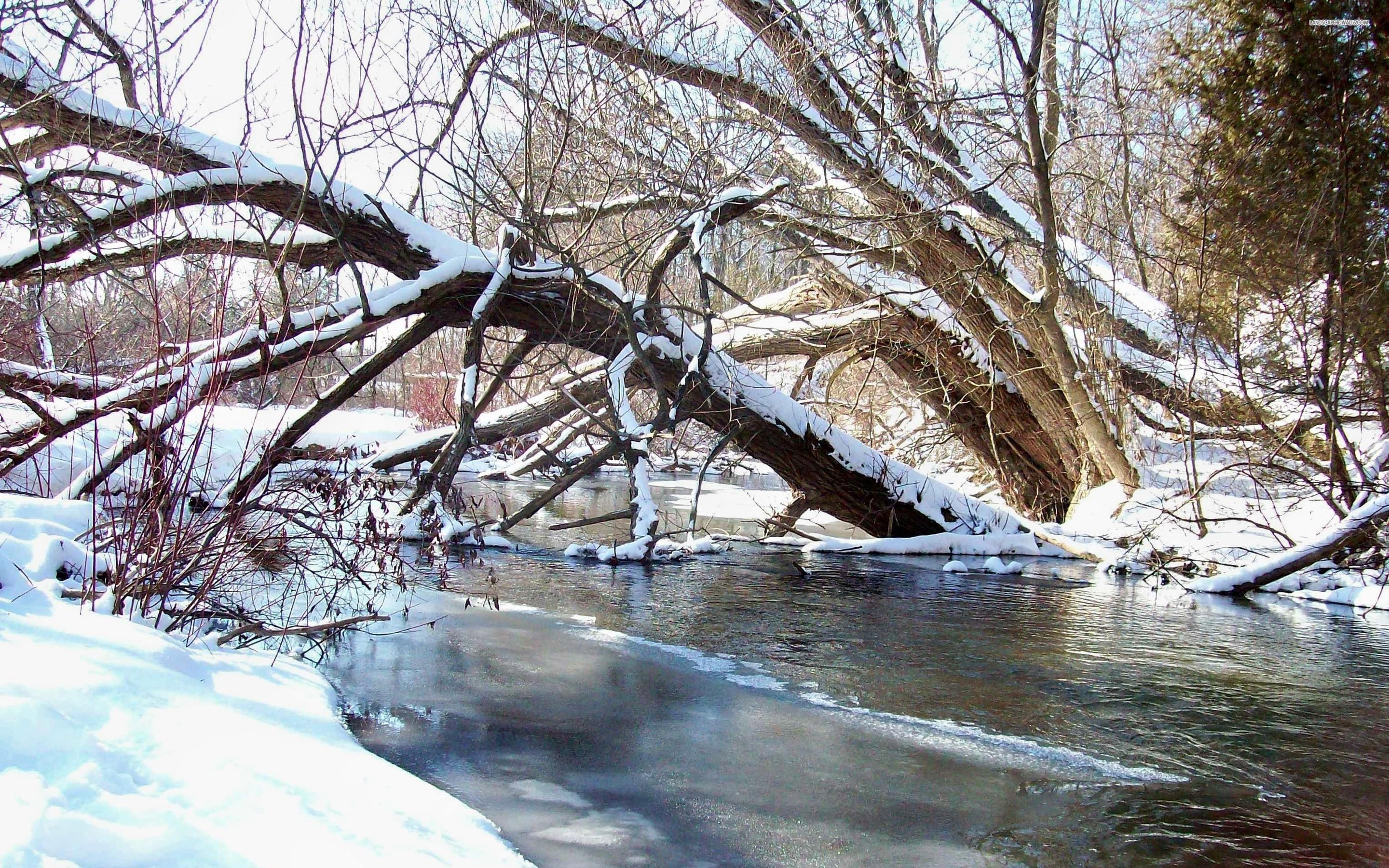 Creek Winter Wallpapers - Wallpaper Cave