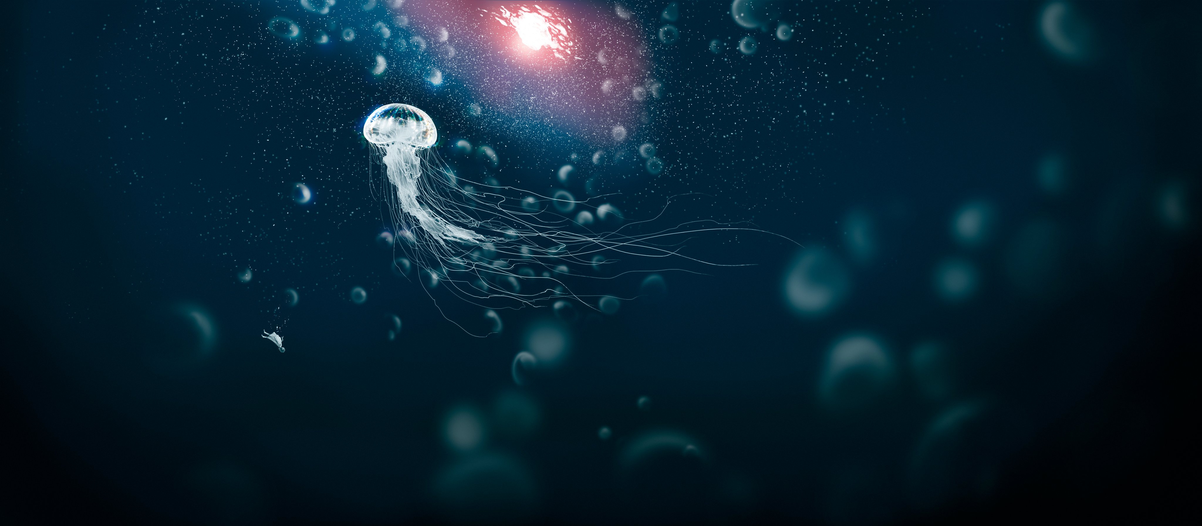 Astronaut Jellyfish Wallpapers Wallpaper Cave