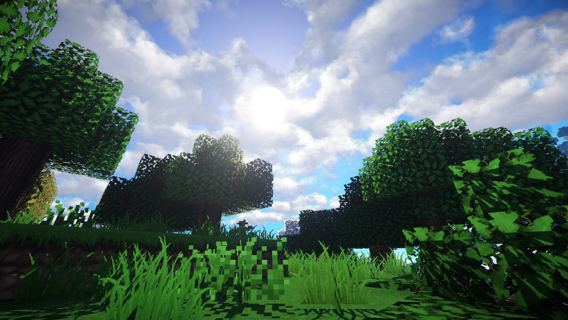 Minecraft Mojang Video Game Forest Grass Sky Wallpaper:1920x1080