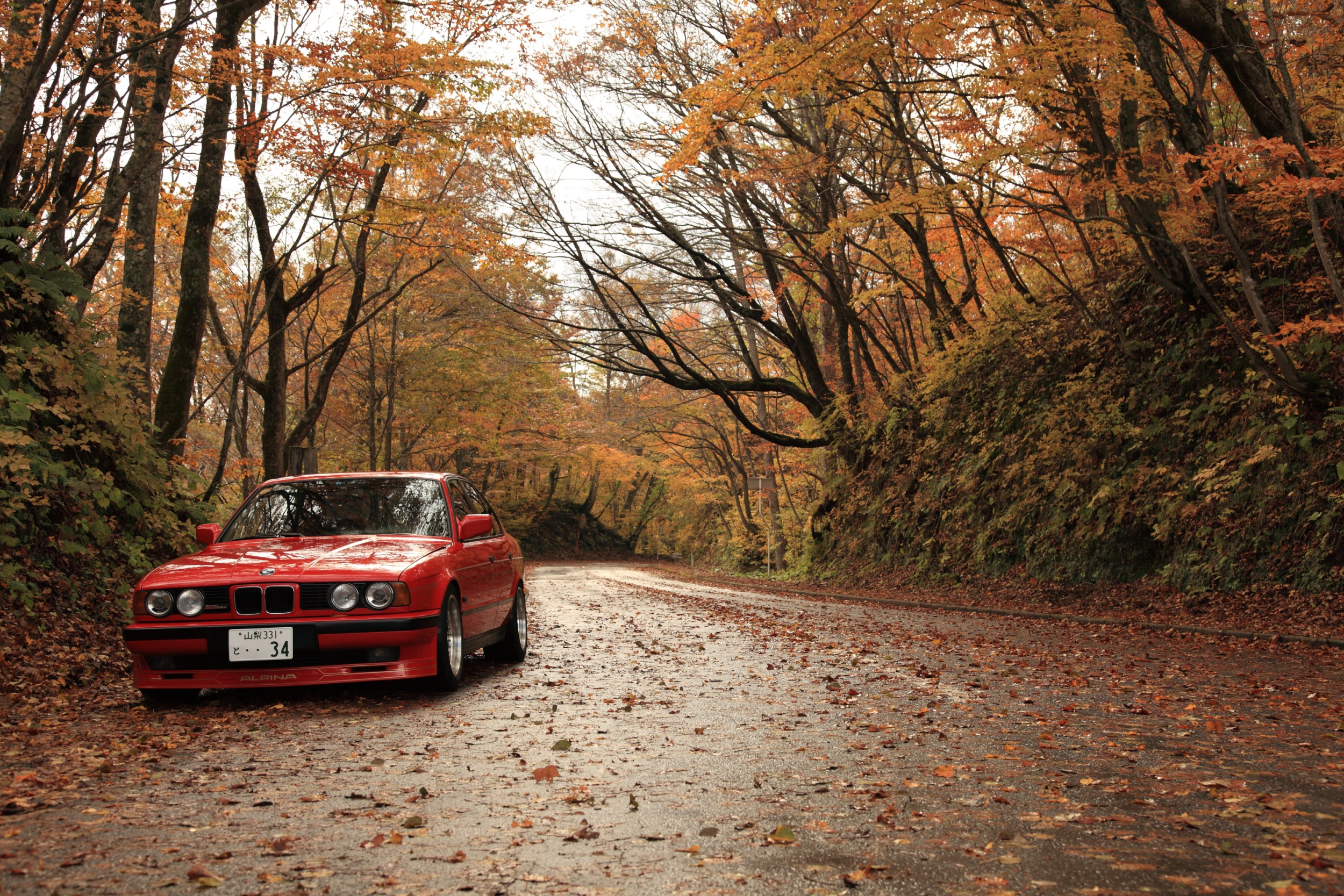 Wallpaper, BMW, fall, car, road, vehicle, red cars, trees 2500x1667