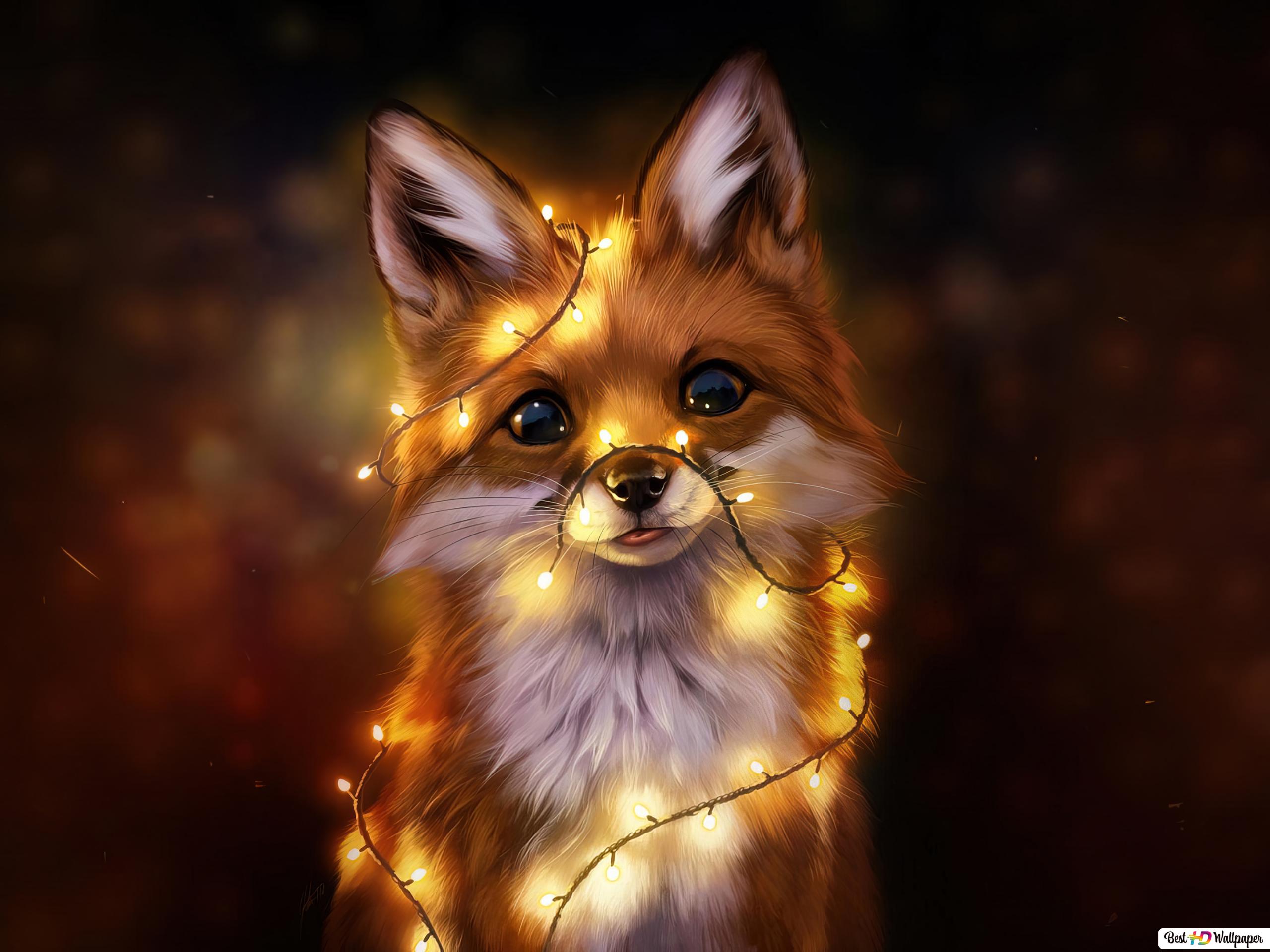 Cute Fox HD wallpaper download