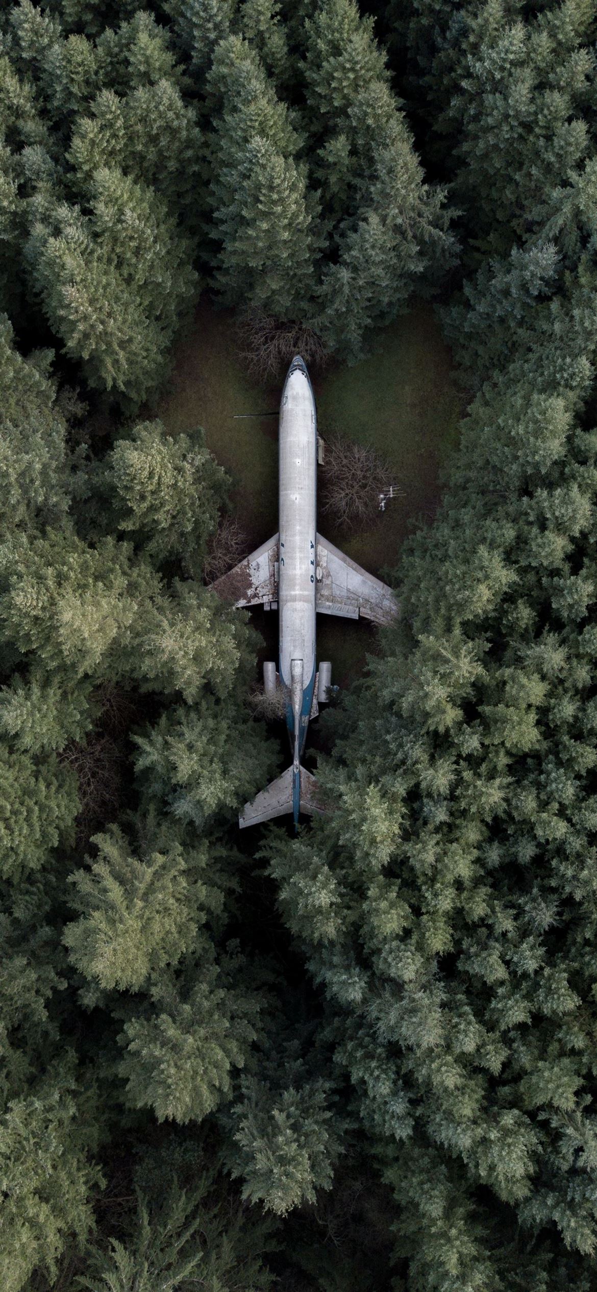 Airplane Wallpaper