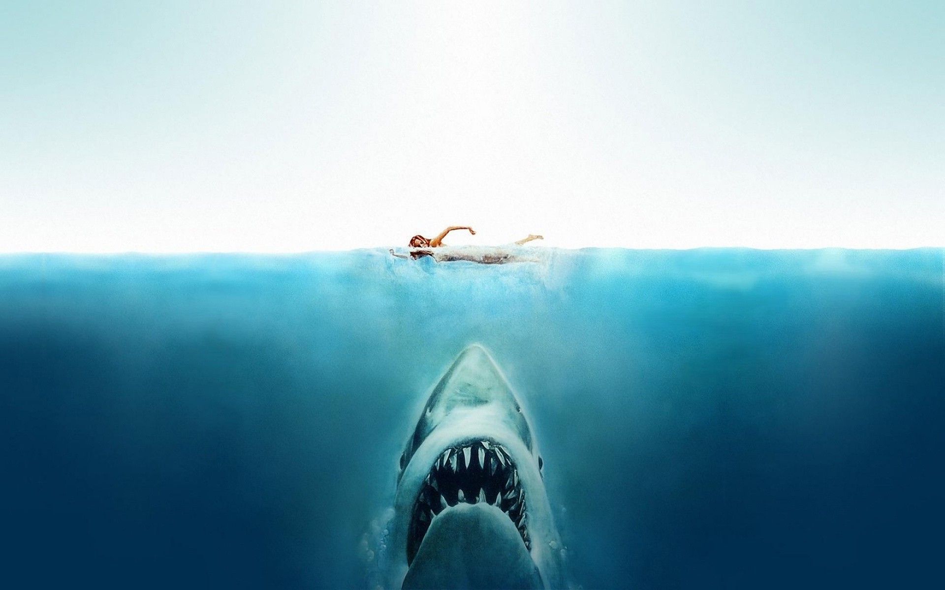 Download HD Wallpaper Of 248848 Jaws, Movies, Shark, Split View. Free Download High Quality And Widescreen Resolutions Deskt. Movies, Spielberg, Creature Feature