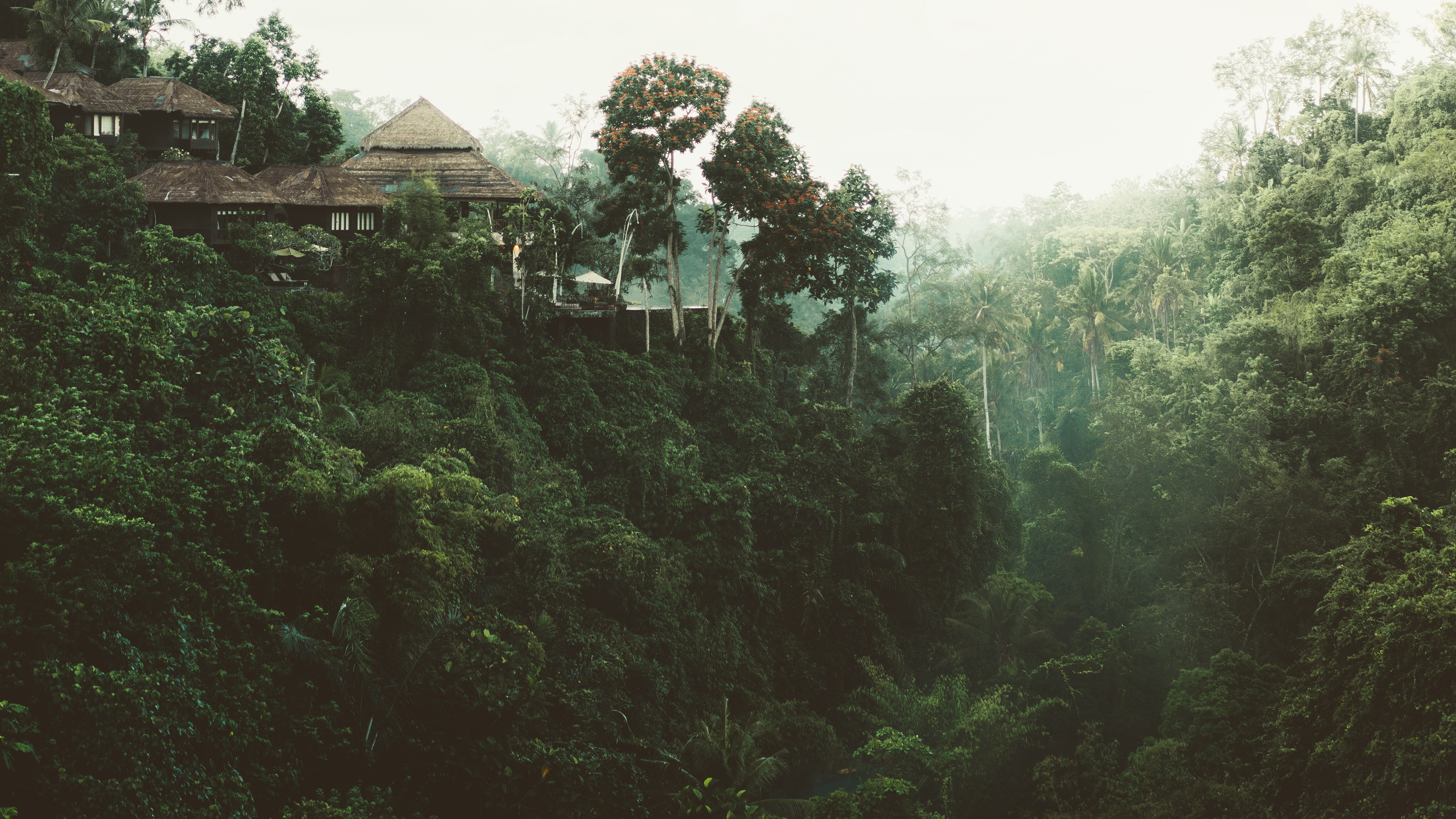 Wallpaper Jungle, trees, house 3840x2160 UHD 4K Picture, Image