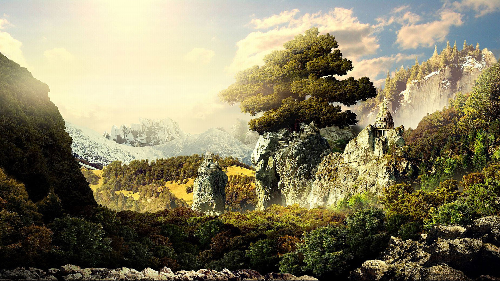 Jungle Wallpaper Free Download