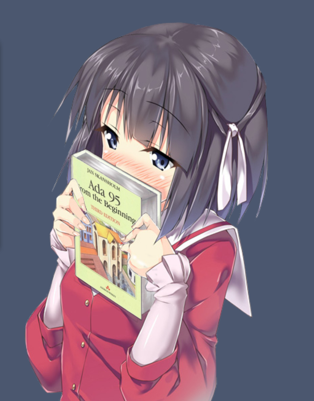 every day an anime girl holding programming books