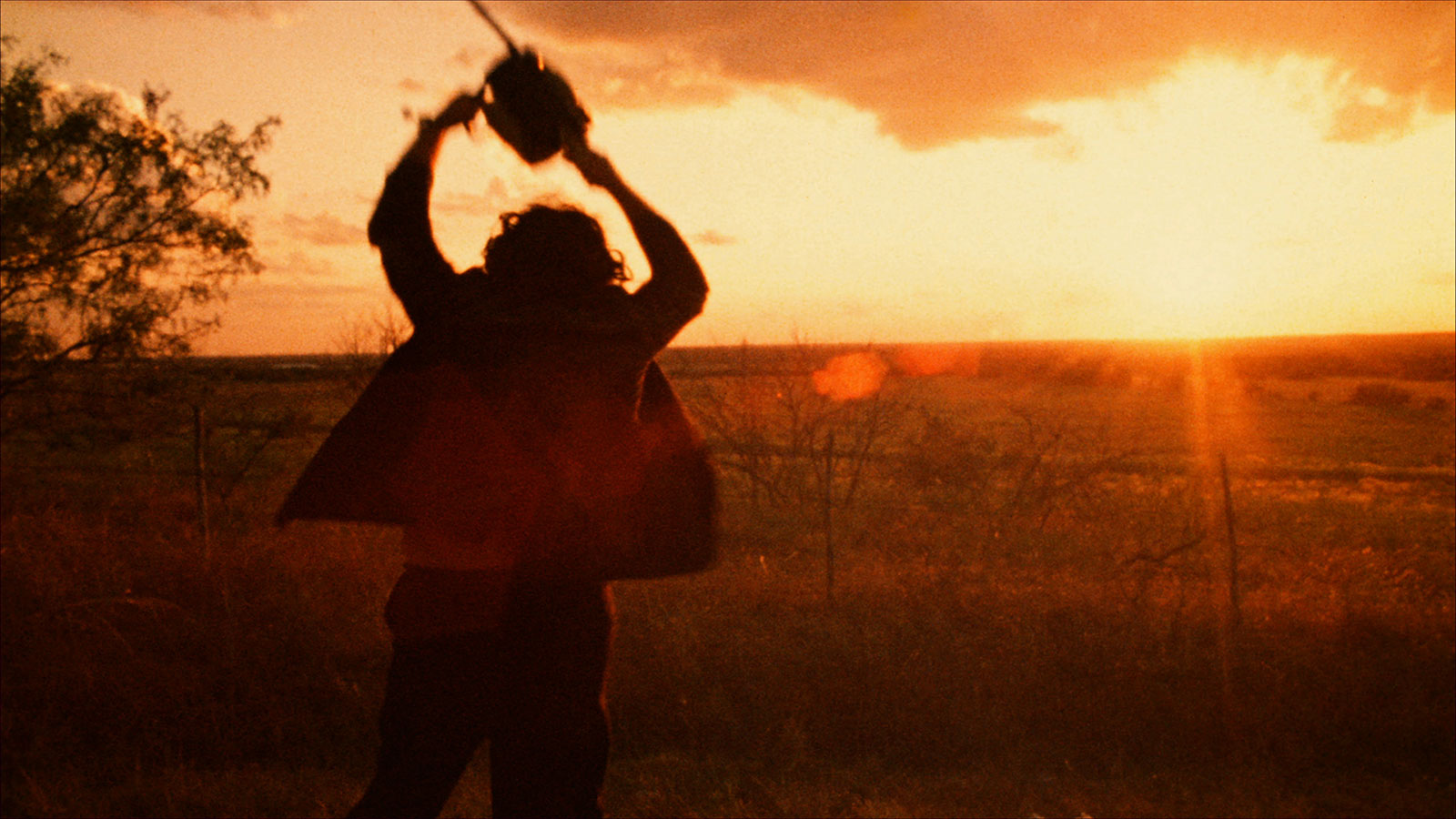 A Case for the Classics: The Texas Chain Saw Massacre Georgetown Voice