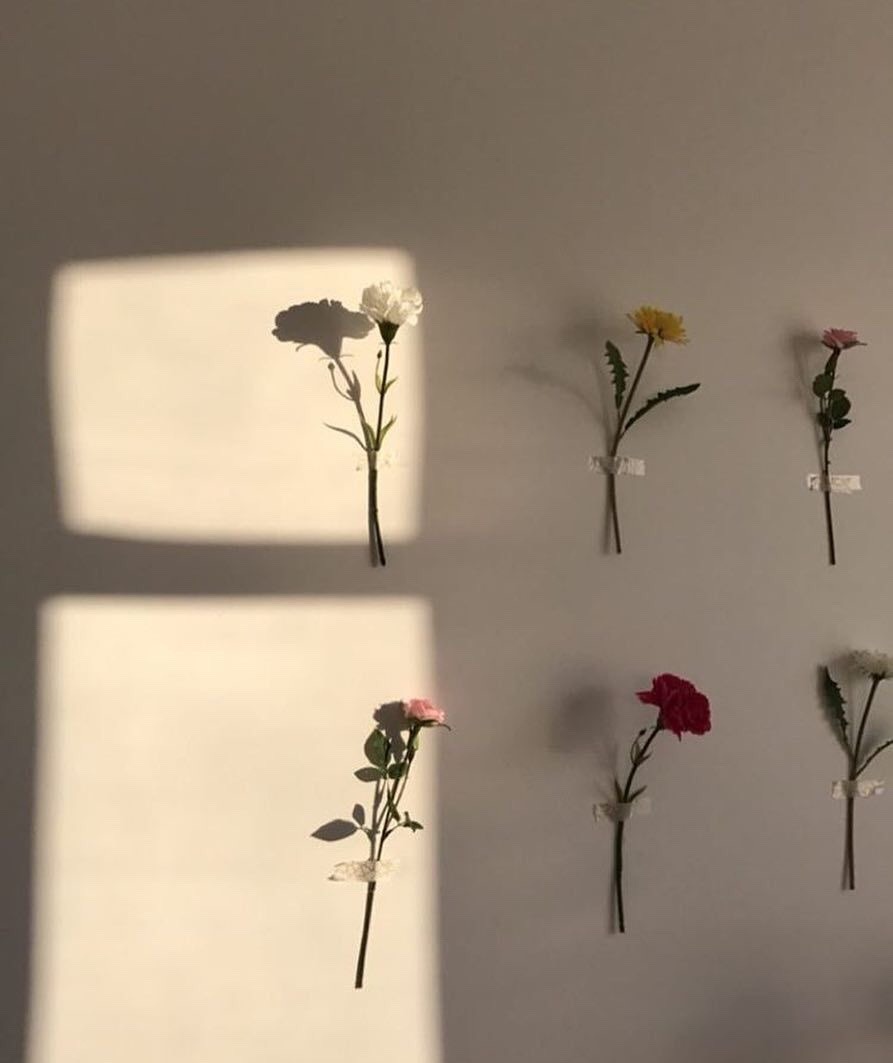 Aesthetics To Fill The Void