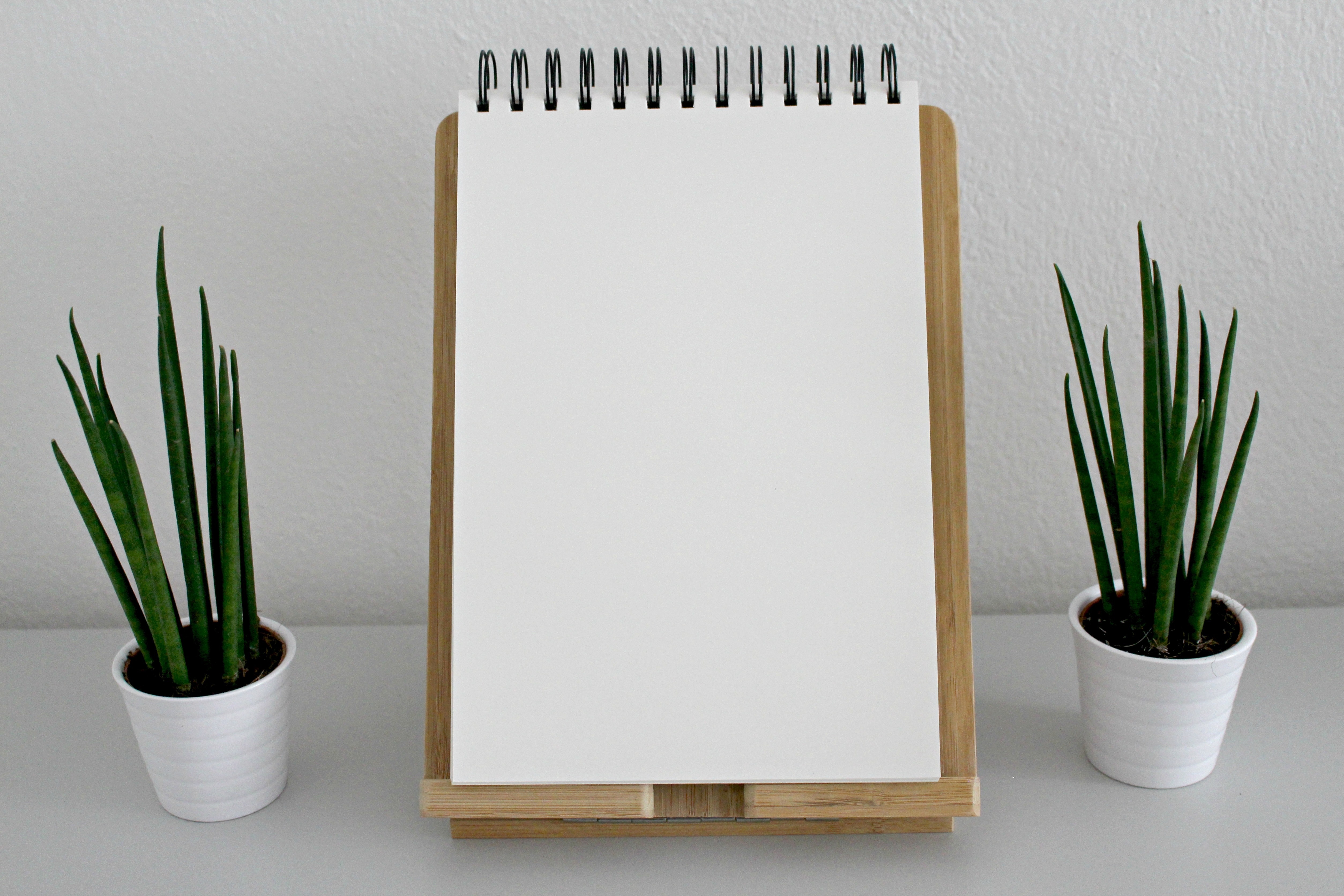 White Drawing Book · Free