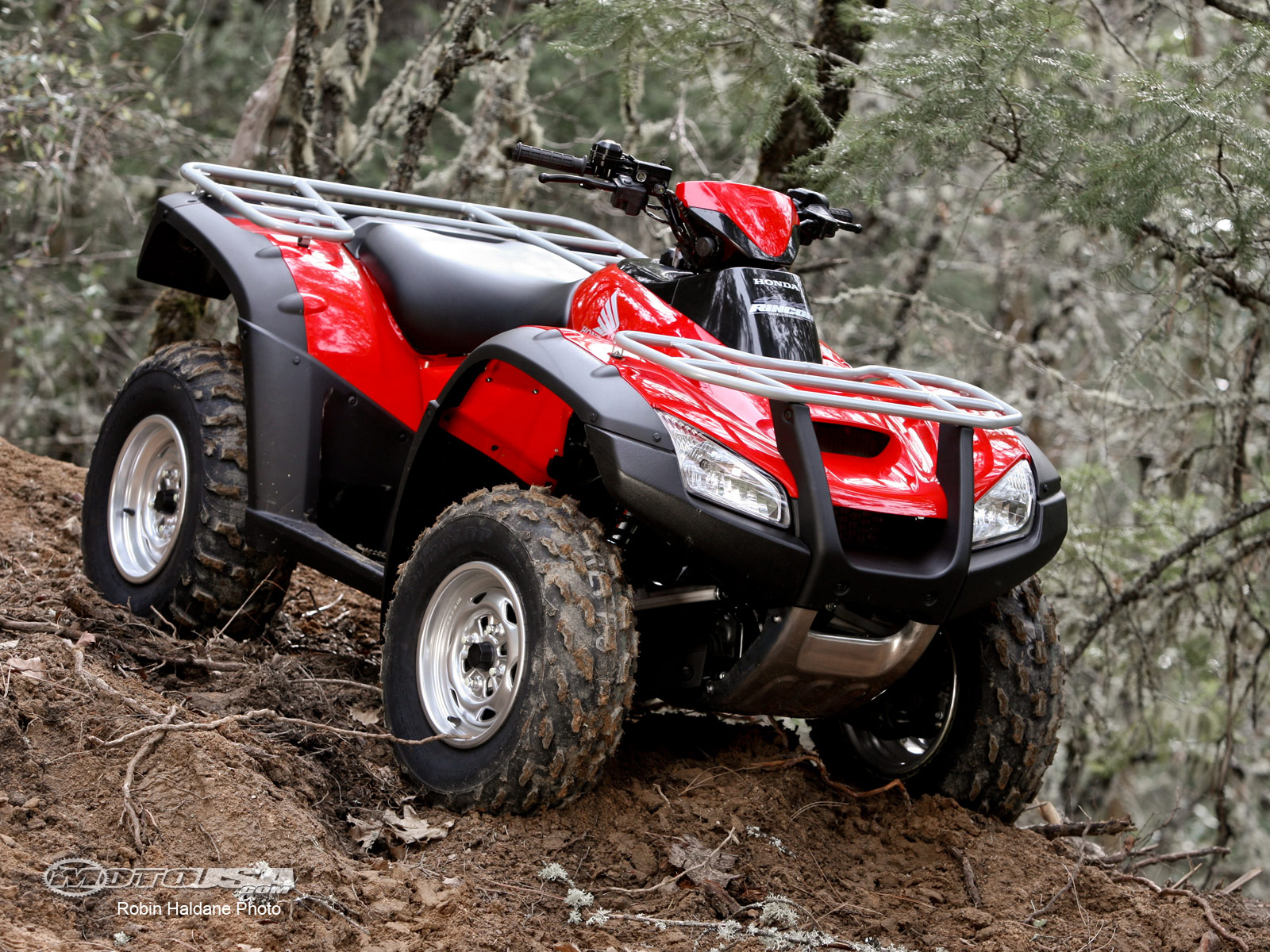 Four Wheelers Wallpaper