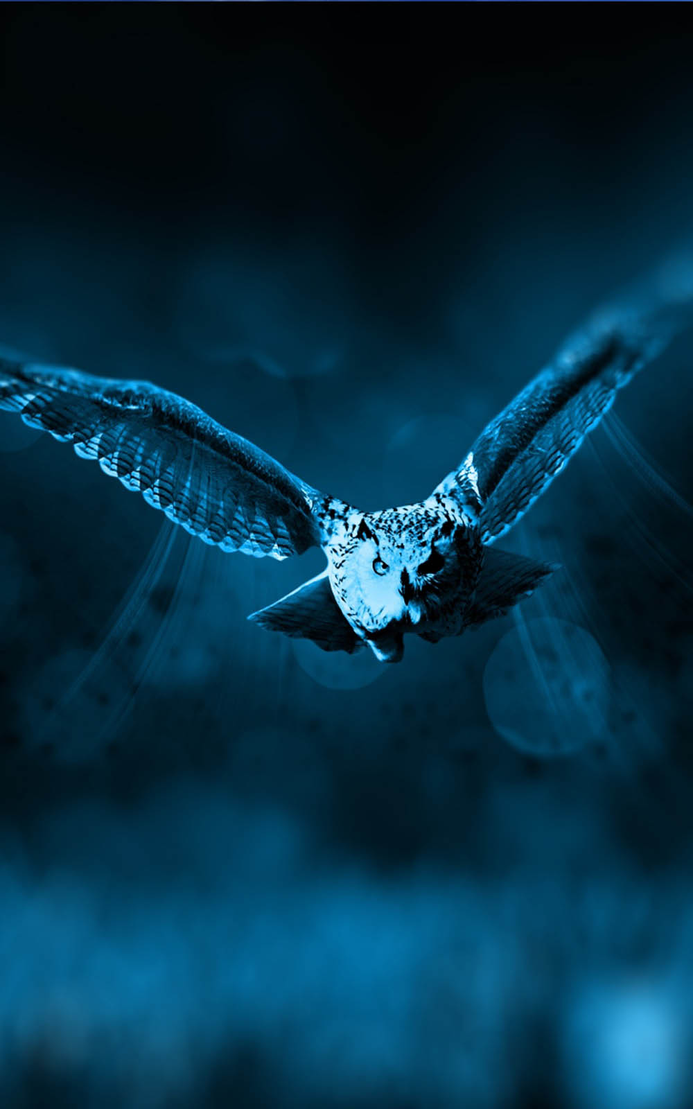 Owl Night Flight 4K Ultra HD Mobile Wallpaper