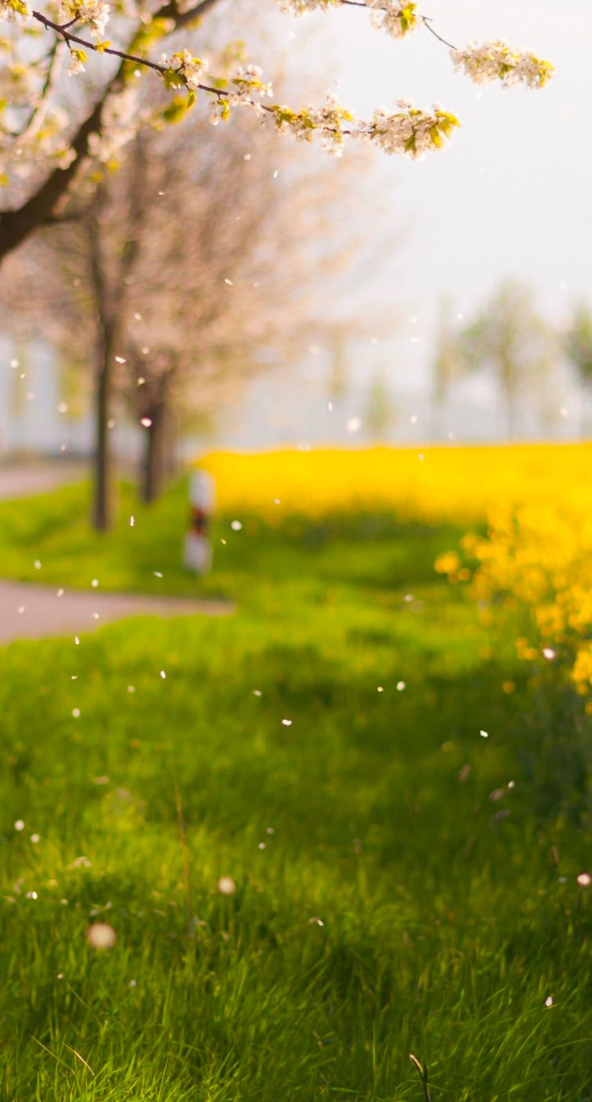 Scenery blur flower ki green. wallpaper.sc iPhone8