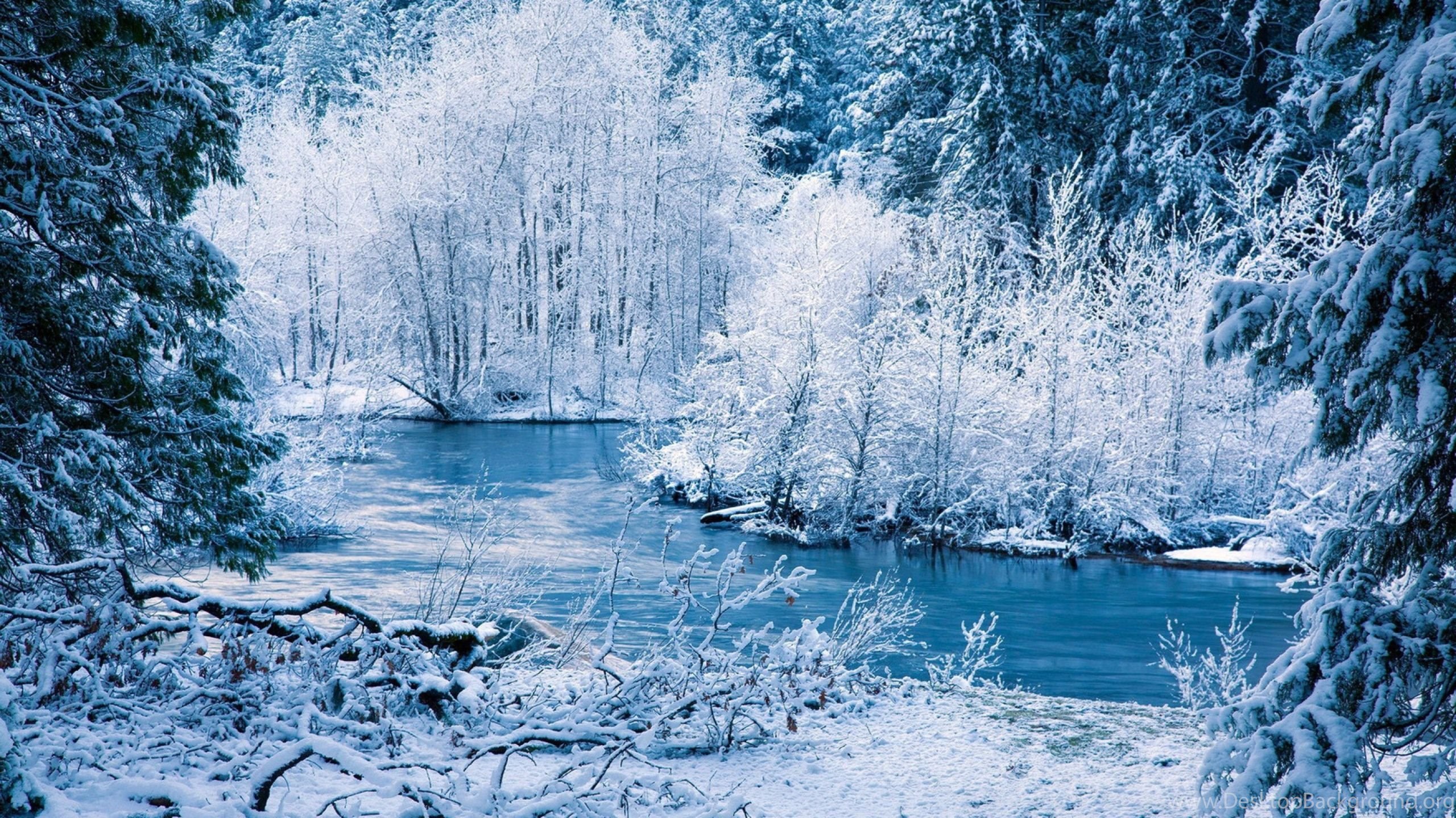 Mac iMac 27 Winter Wallpaper HD, Desktop Background 2560x1440. Desktop Background