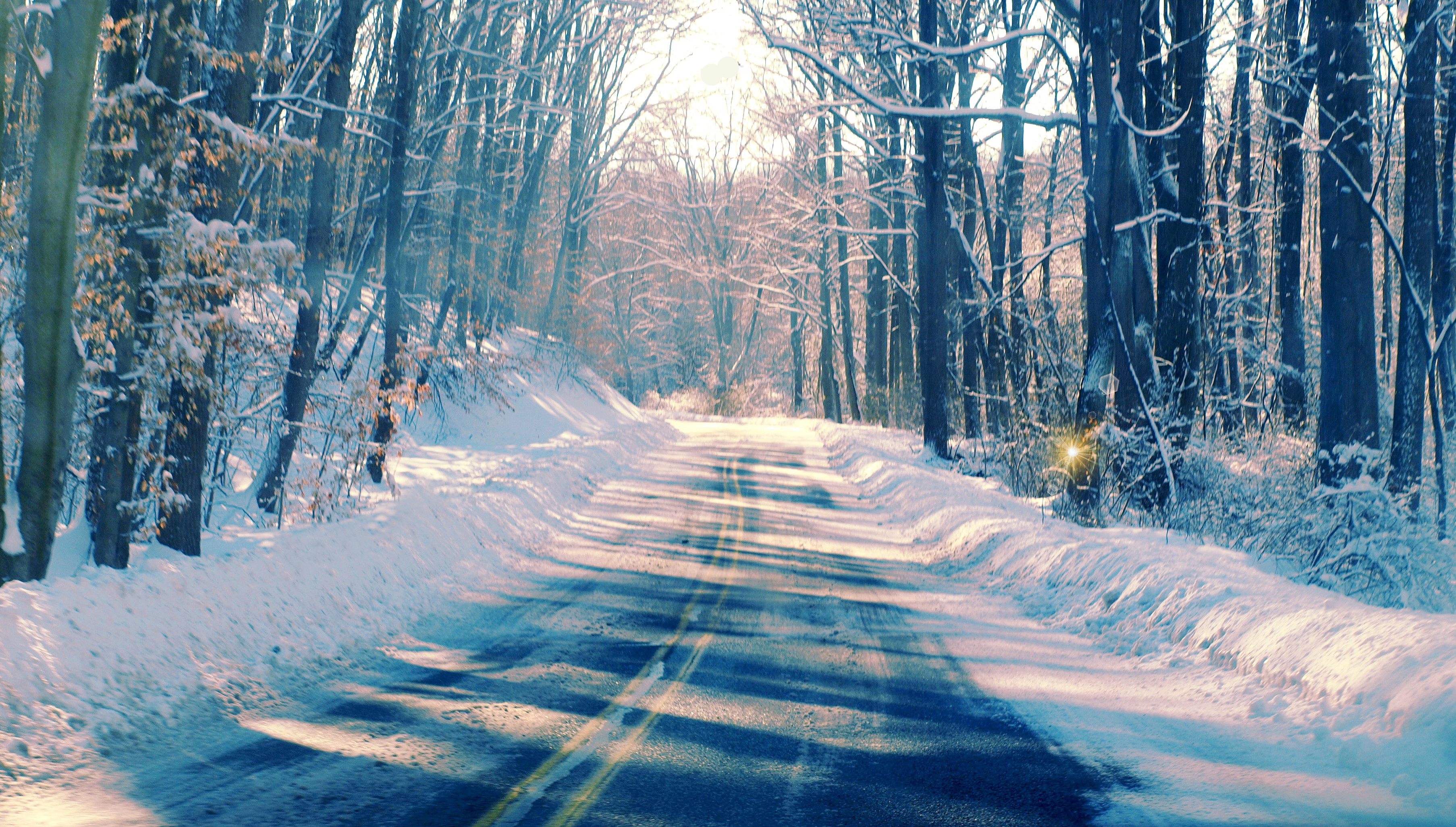 Wallpaper, road, trees, winter, shadow, Sun, sunlight, snow, cold, tree, ice, nature, birds, forest, woods, highway, crossprocess, hill, North, Sunny, lensflare, flare, snowing, blizzard, backroad, songlyrics, coldtone, Lorde, gradientflare