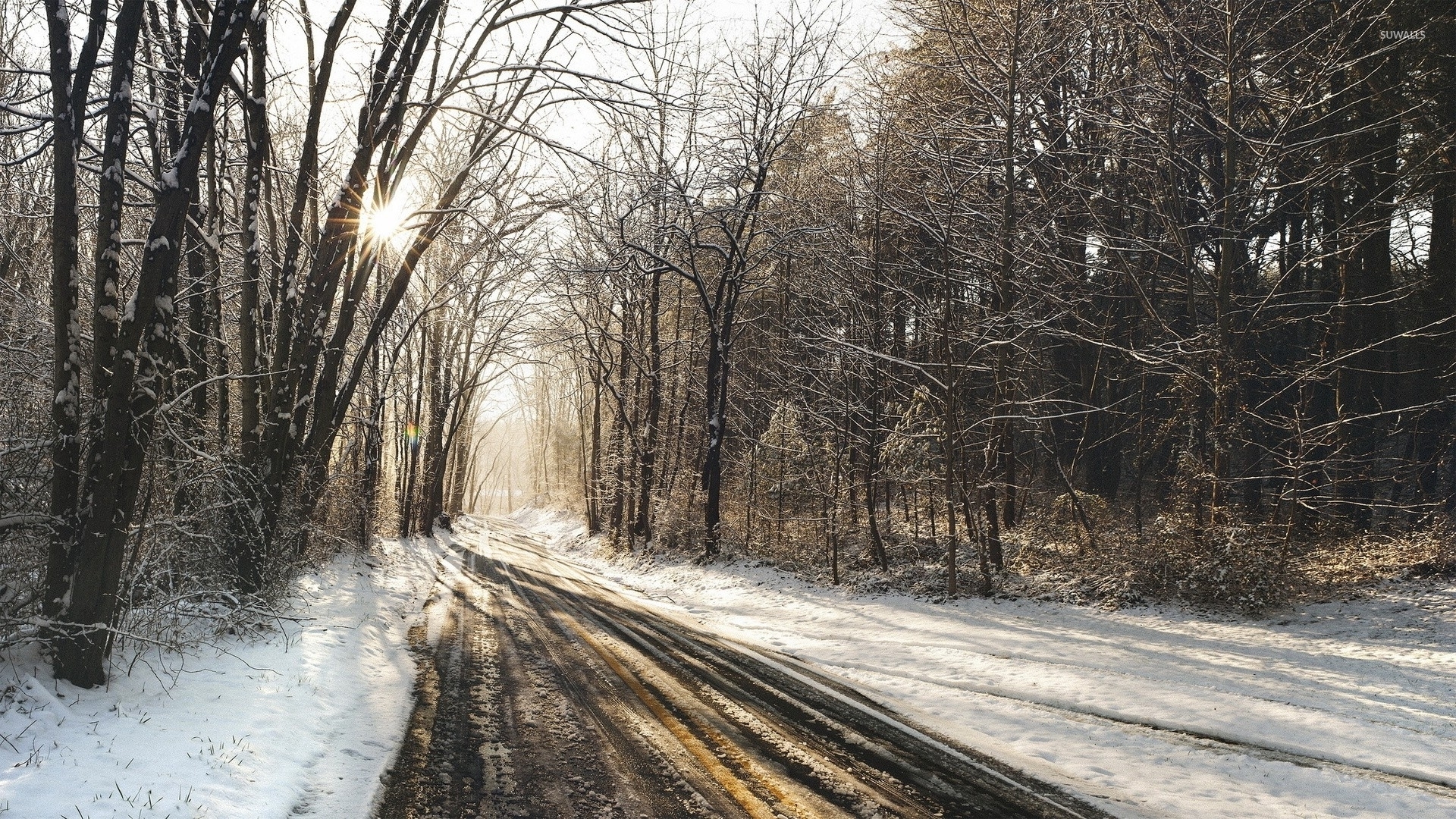 Sunny winter day 1920×1080