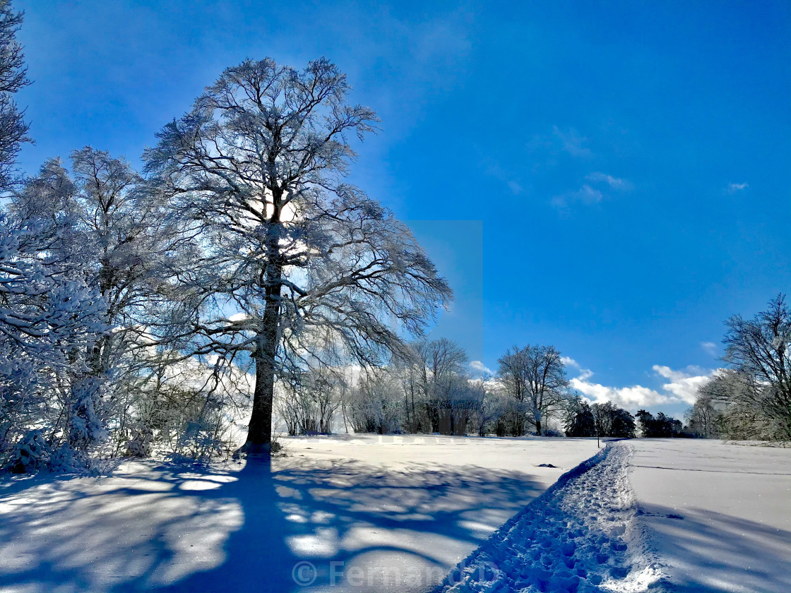 Sunny winter day on the mountain, download or print for £24.80