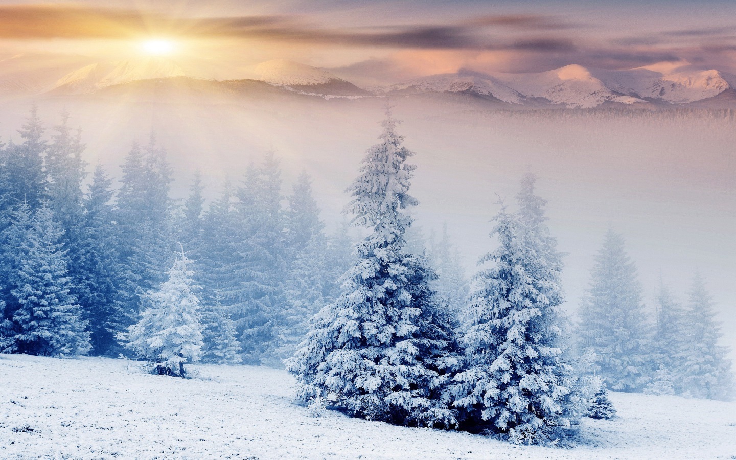 29++ Macbook Desktop Wallpaper Winter