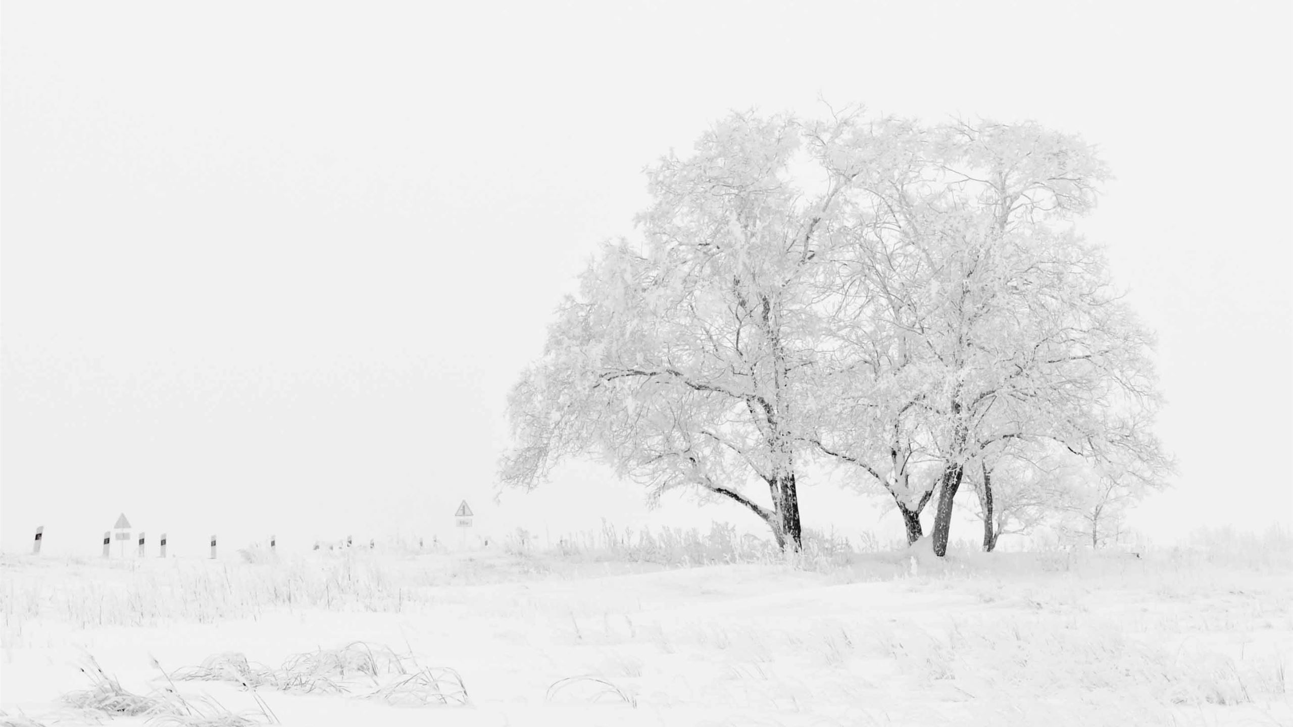 White Winter MacBook Air Wallpaper Download