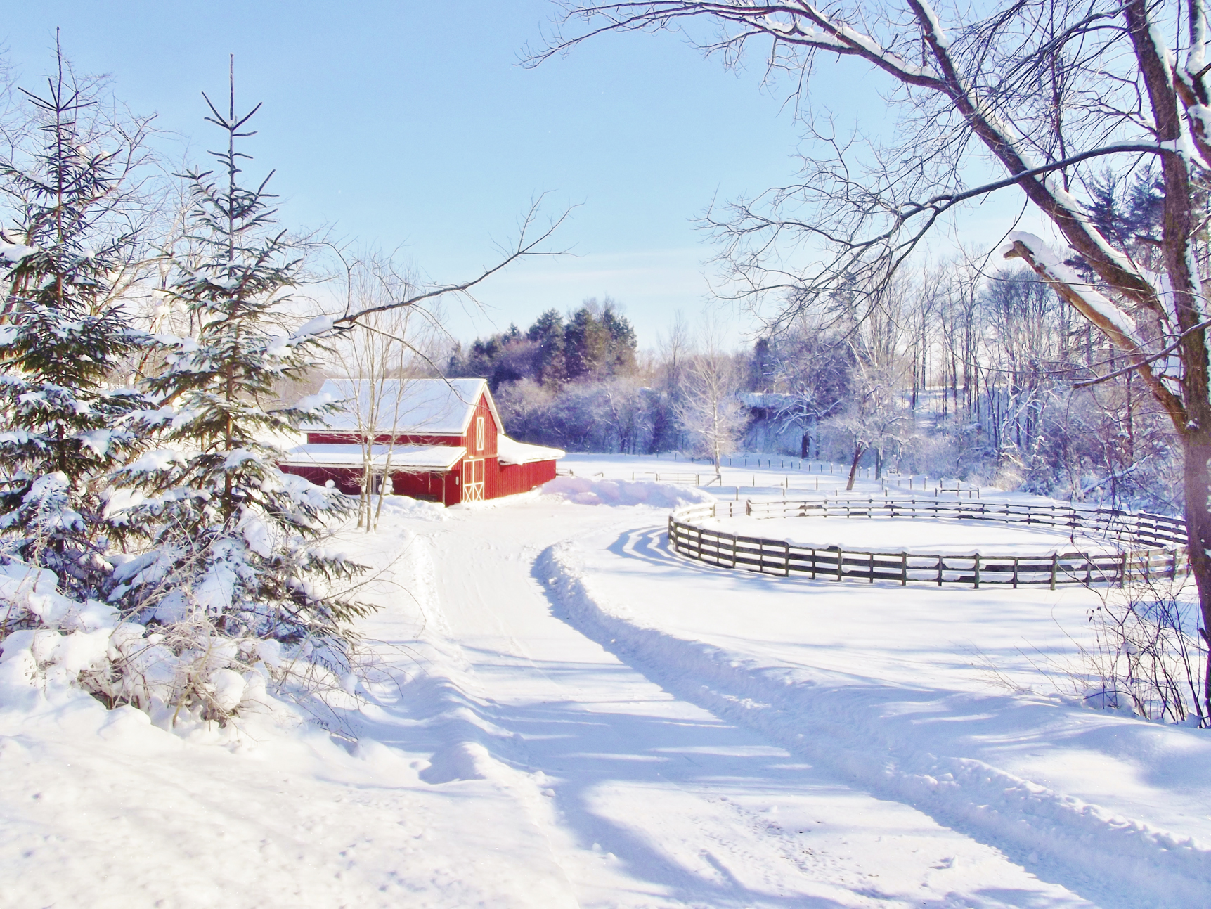 Local Resident's Winter Photo Highlighted By MSN. News, Sports, Jobs