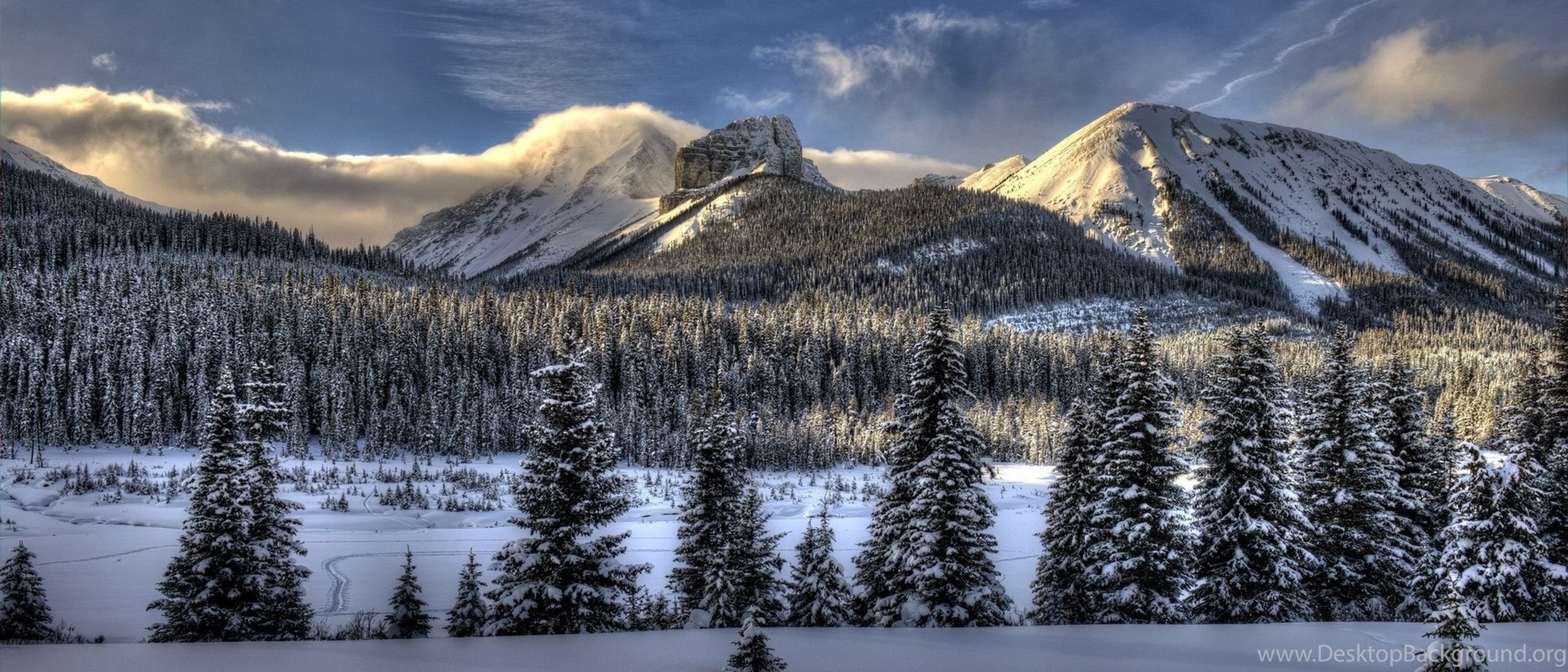 Download Wallpaper 2560x1440 Snow, Winter, Trees Mac iMac 27 HD. Desktop Background