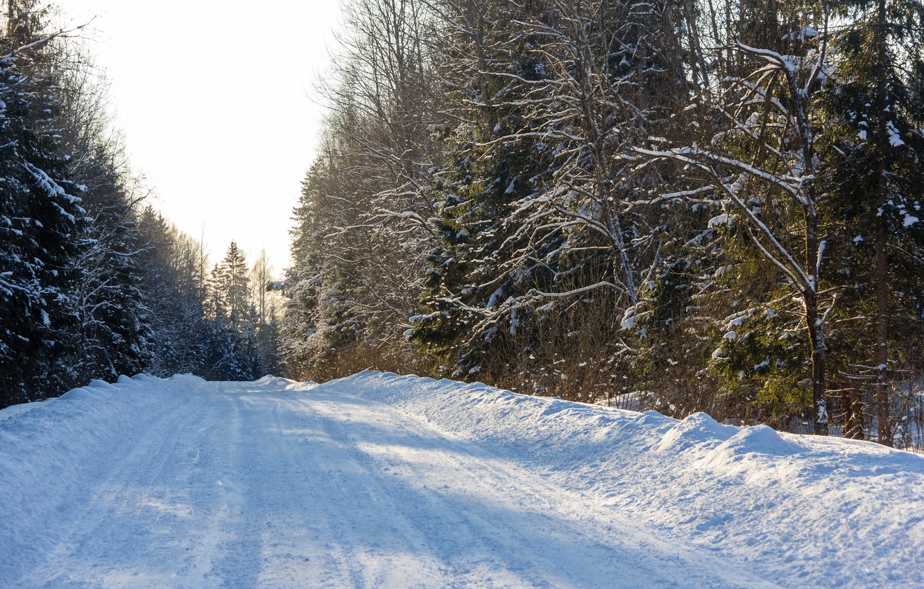 Wallpaper winter, road, forest, snow, sunset, nature, the way, frost, Sunny, cold, winter forest, January, winter, snowy road image for desktop, section пейзажи