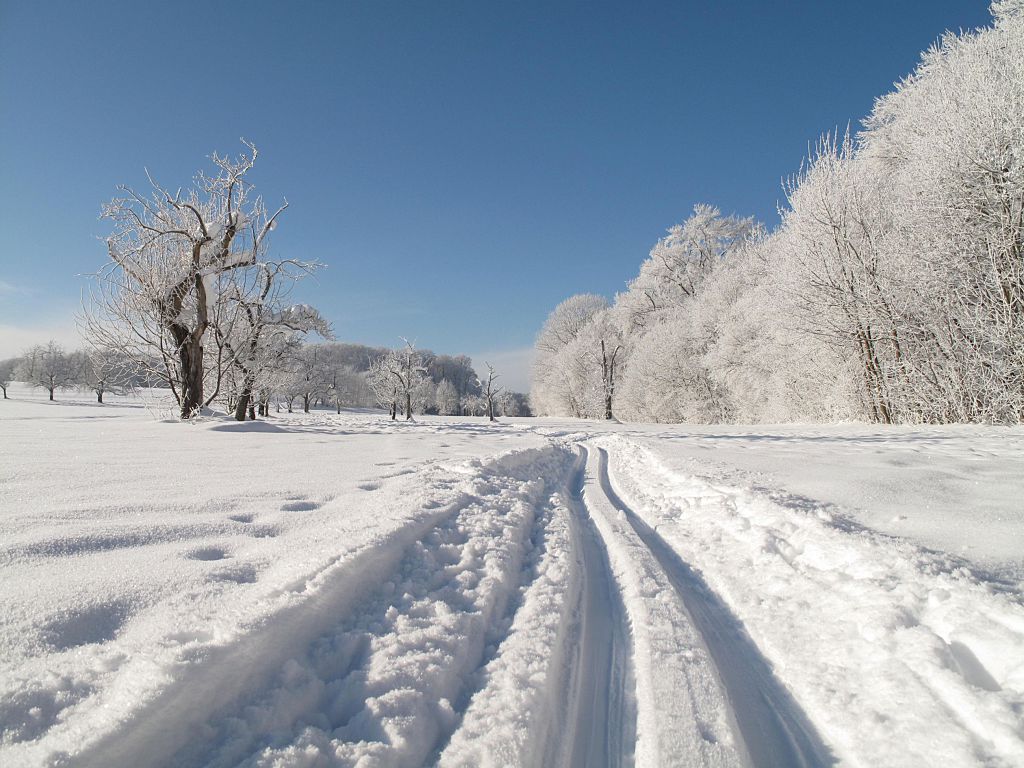 Winter landscape on sunny day. Winter landscape, Landscape, Sunny days