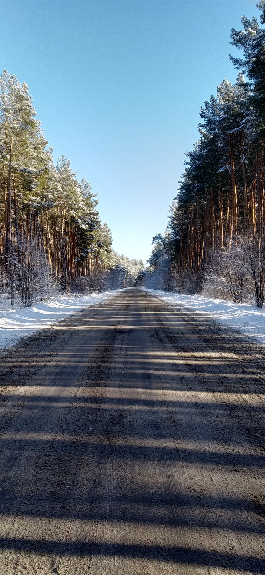 Wallpaper Trees, road, snow, winter, shadow 3840x2160 UHD 4K Picture, Image