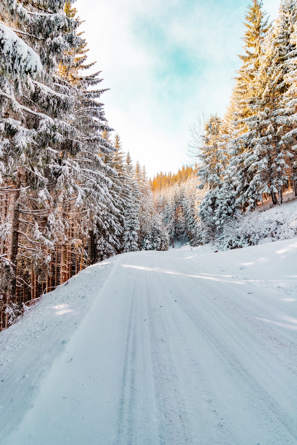 Winter Road Picture. Download Free Image