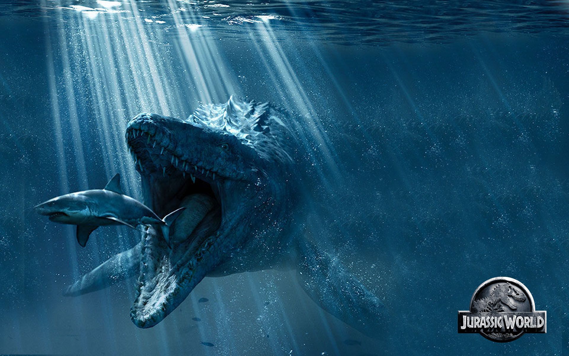 Mosasaurs Wallpapers - Wallpaper Cave