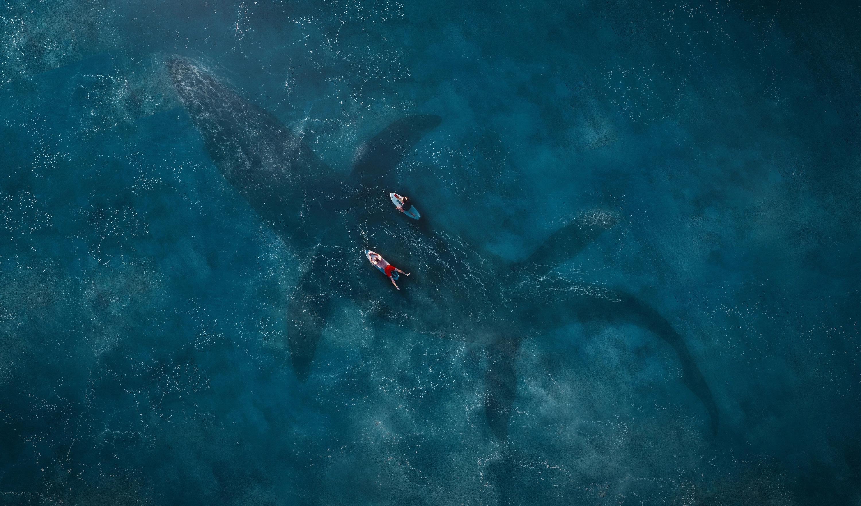Mosasaurus Wallpaper