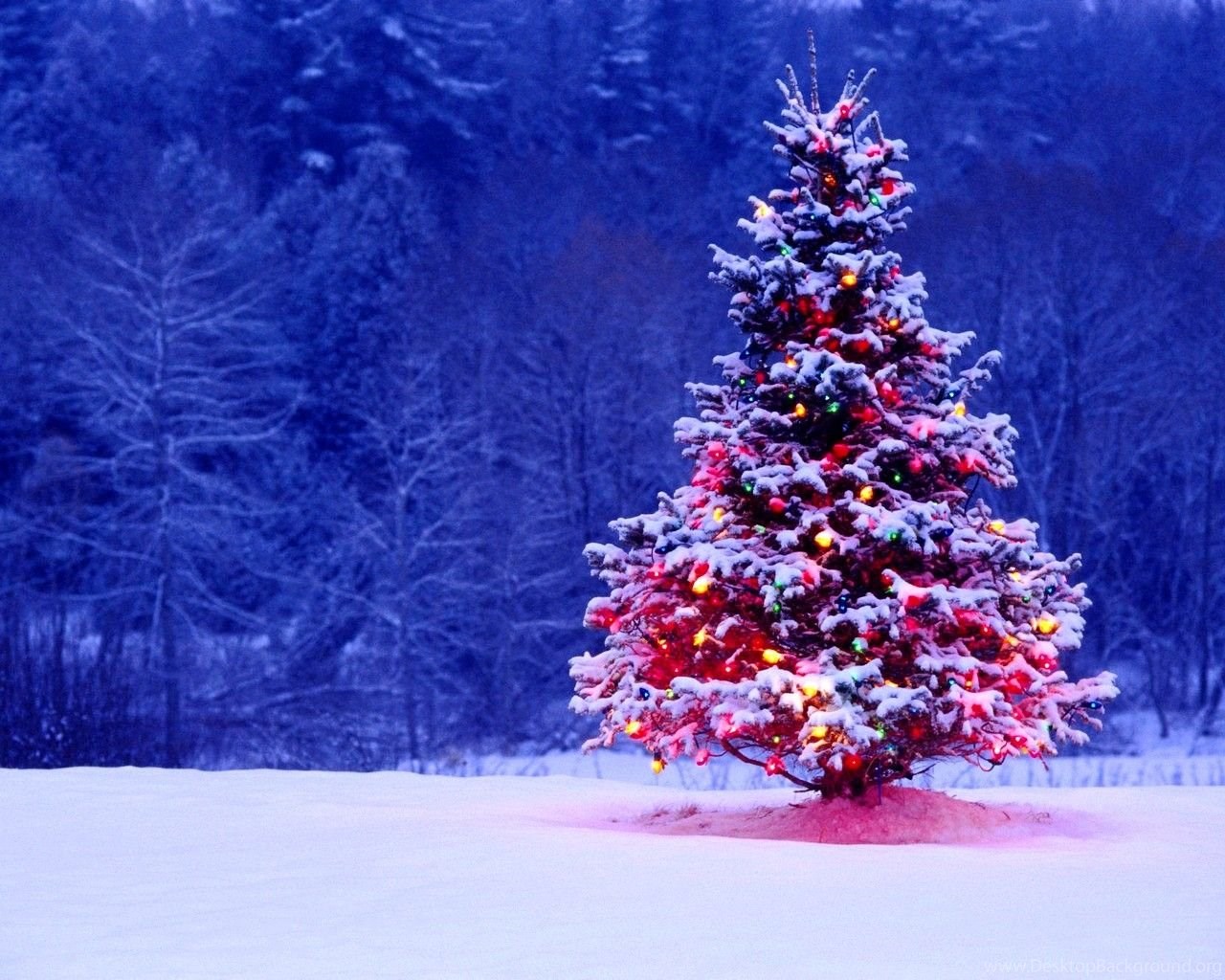 Animated Christmas Wallpaper Free Download Winter Christmas Tree. Desktop Background