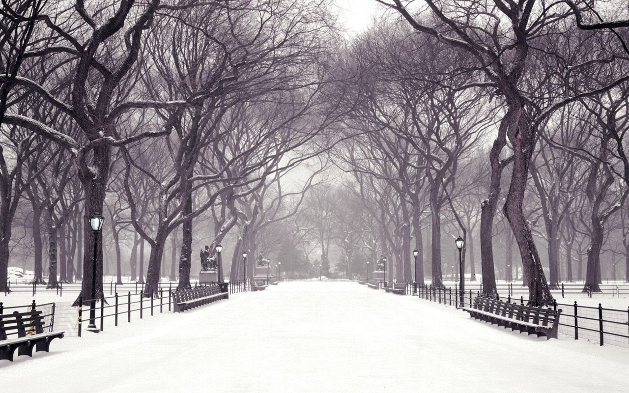 Winter in the park desktop PC and Mac wallpaper