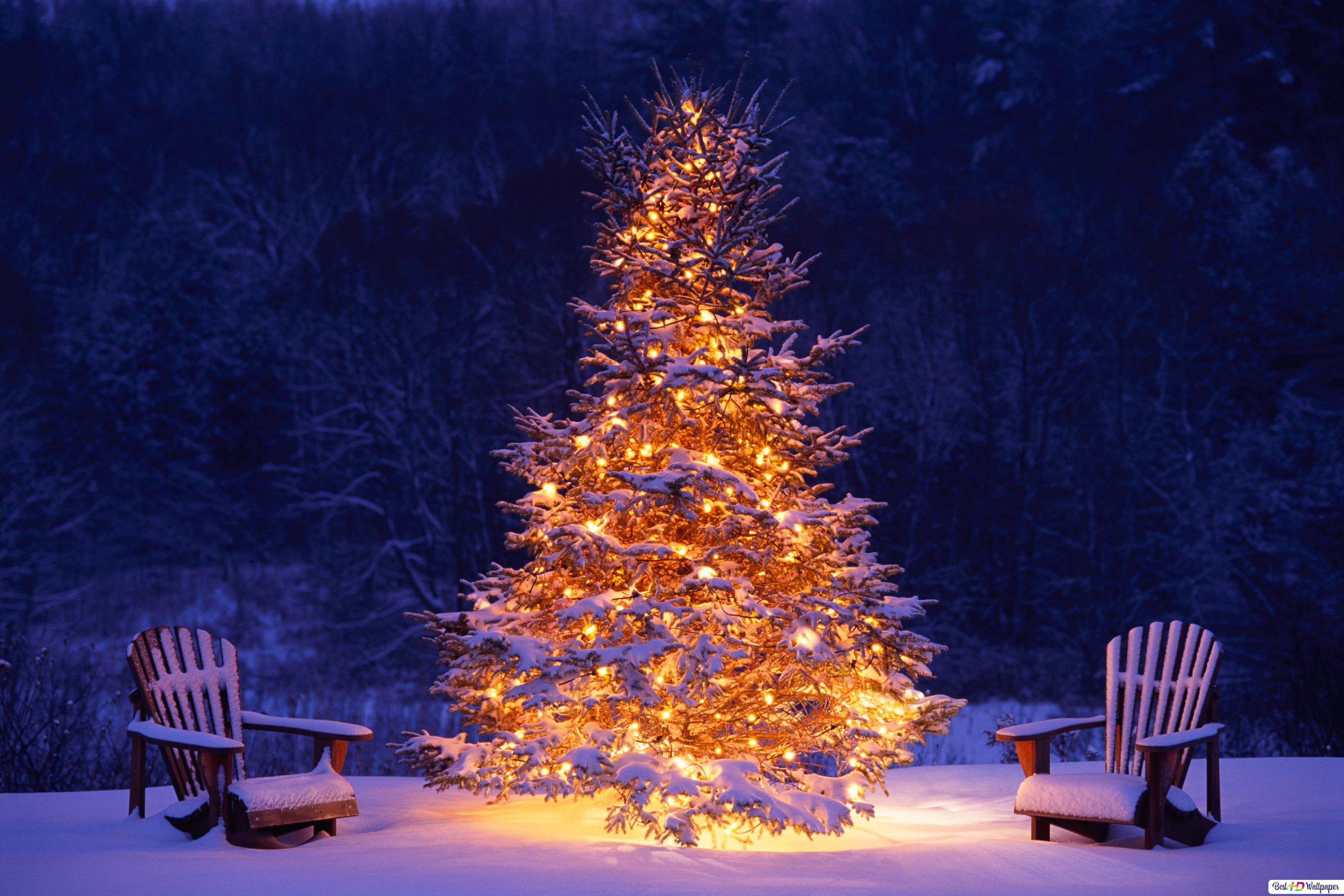 White Christmas in winter HD wallpaper download