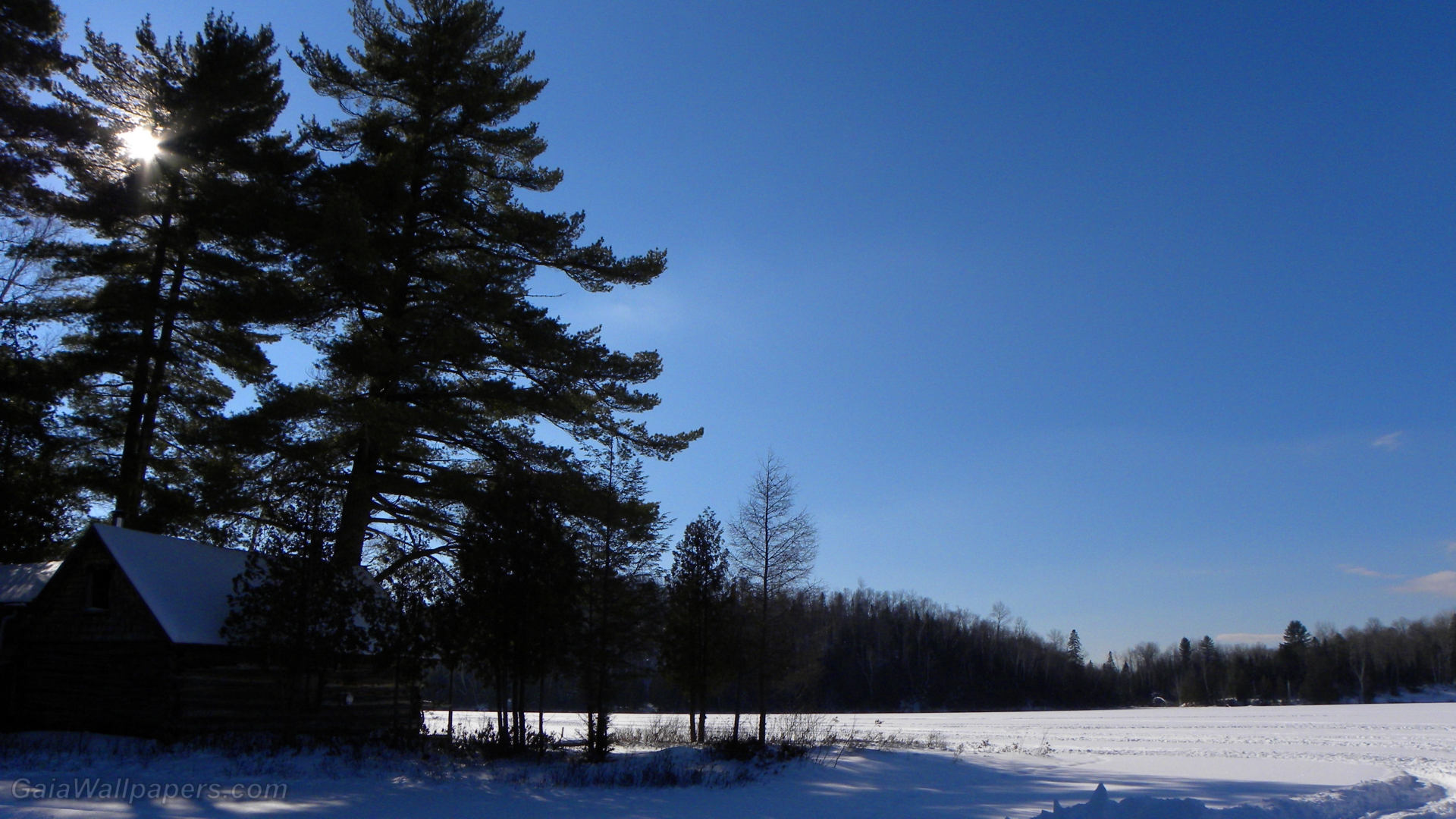 Closed cottage for the winter wallpaper 1920x1080 Desktop Wallpaper