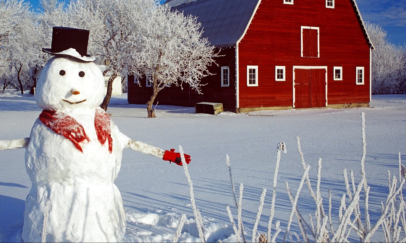 best Christmas live wallpaper & screensavers [Free download]