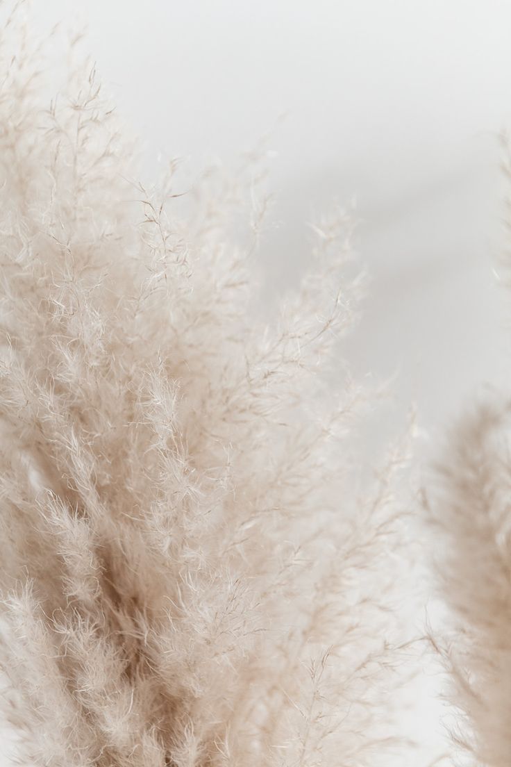 ELLE INTERIEUR blog over interieur&lifestyle. Beige wallpaper, Aesthetic wallpaper, Aesthetic iphone wallpaper