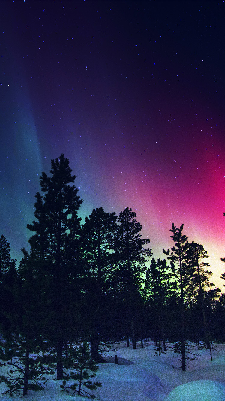 Snow Sky Aurora Night Winter Christmas Blue Wallpaper