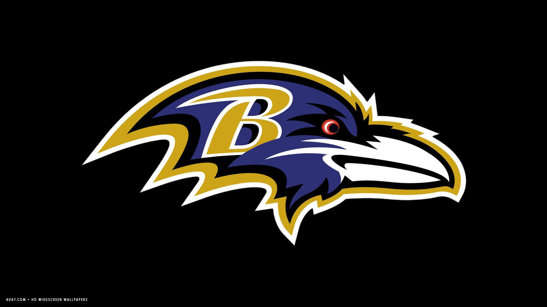 baltimore ravens football logo HD wallpaper HD widescreen wallpaper / american football teams background