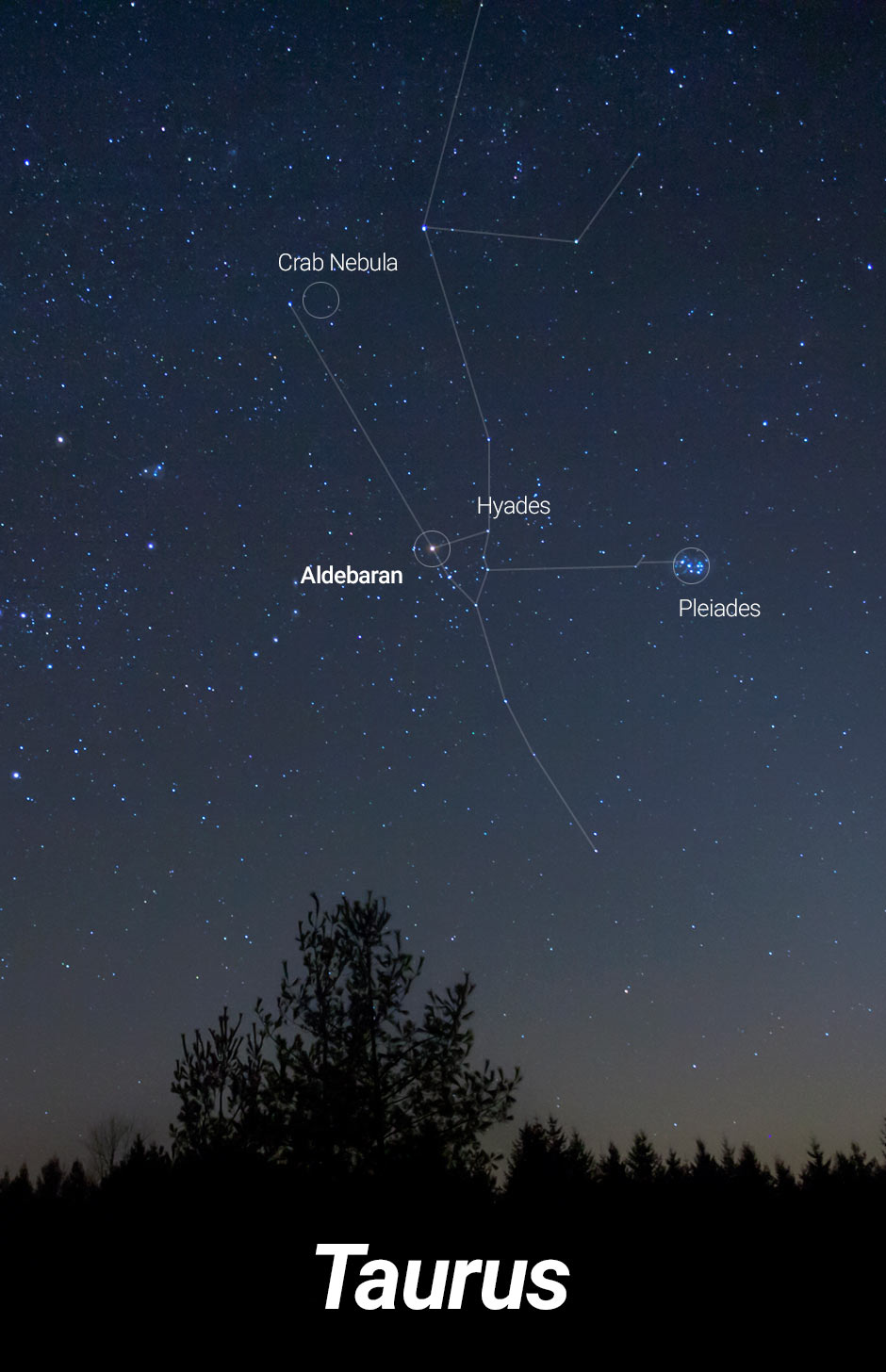 The Constellation Taurus. Location, Facts, and Brightest Stars