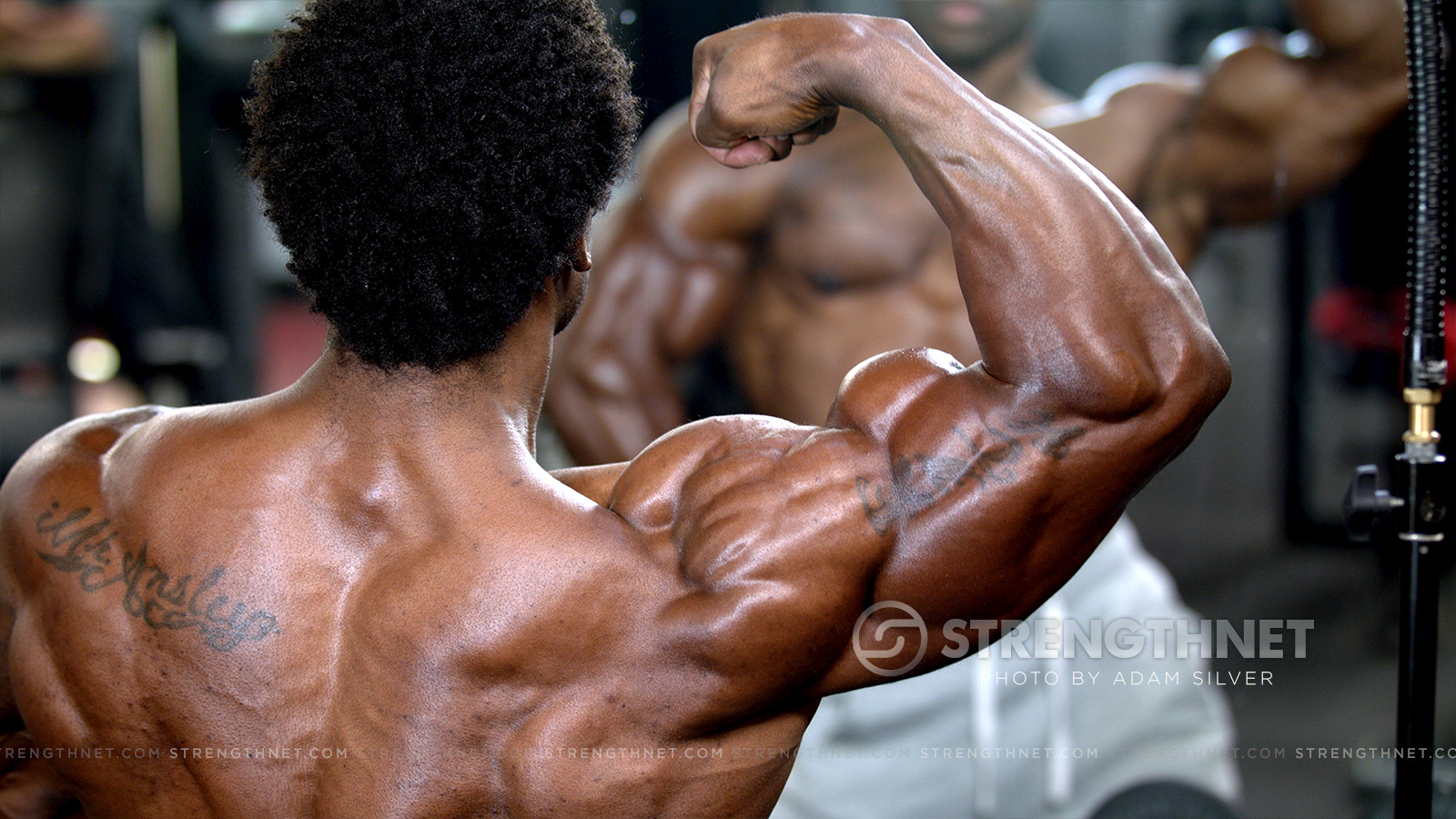 IFBB Pro Breon Ansley