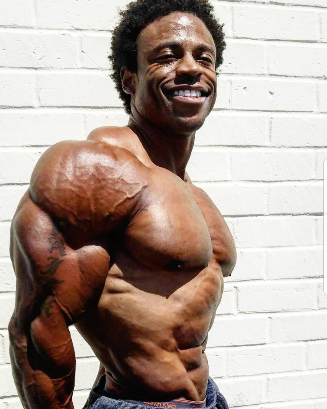 NUTRIMUSCLE Ansley IFBB Pro Classic Physique, Actualités, vidéos, études scientifiques