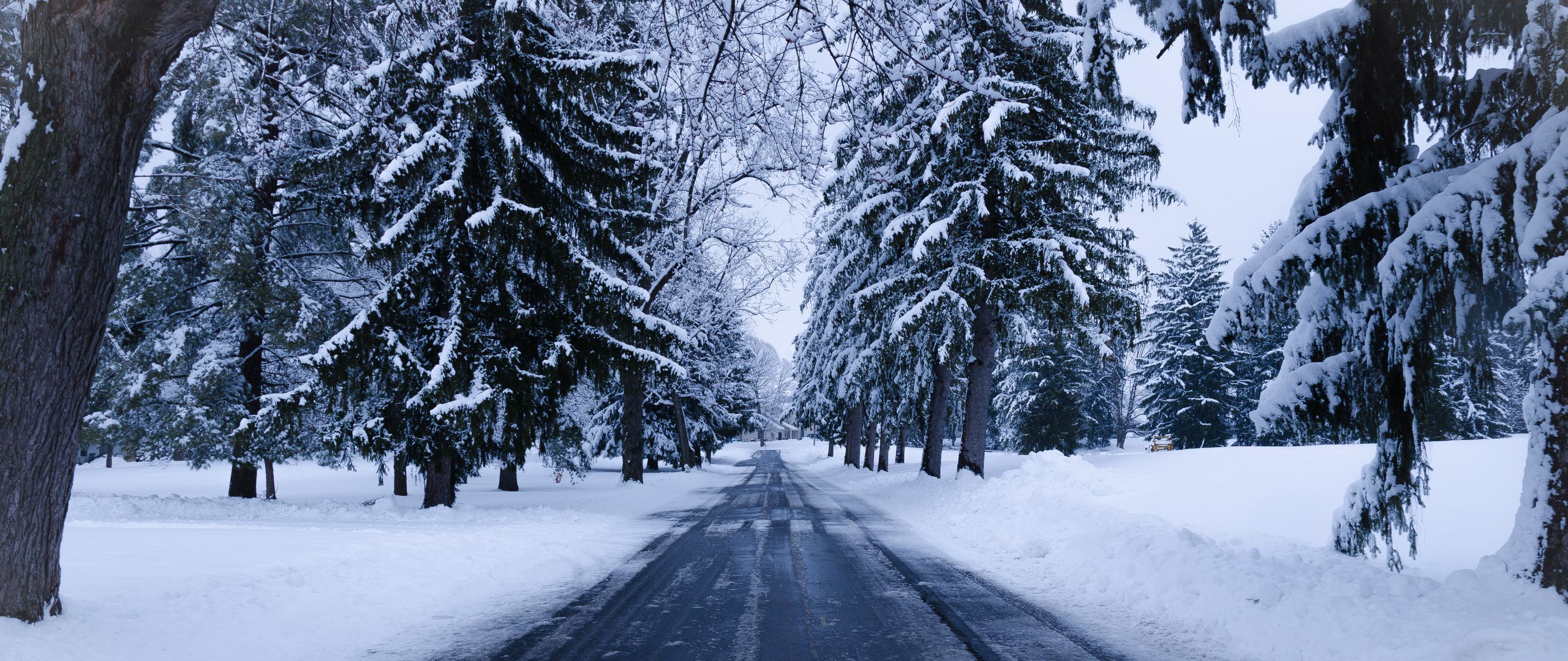 Download wallpaper 2560x1080 winter, road, snow, trees, winter landscape dual wide 1080p HD background