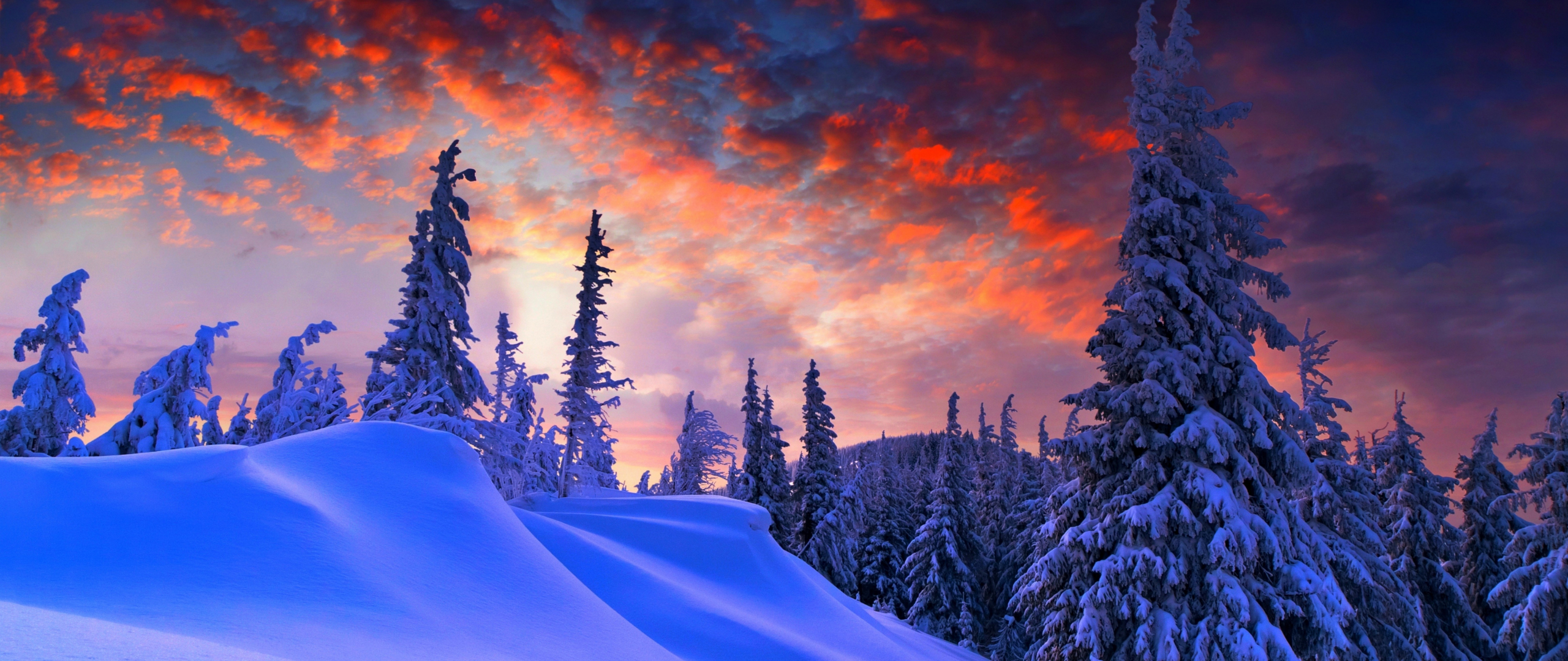 Download wallpaper 2560x1080 winter evening, beautiful sky, trees, clouds, dual wide 2560x1080 HD background, 1199
