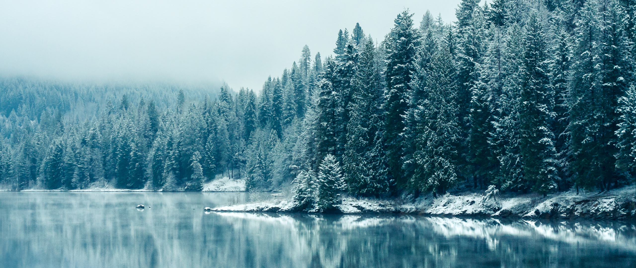Download Kootenay river, snowfall, tree, nature, winter wallpaper, 2560x1080, Dual Wide, Widescreen