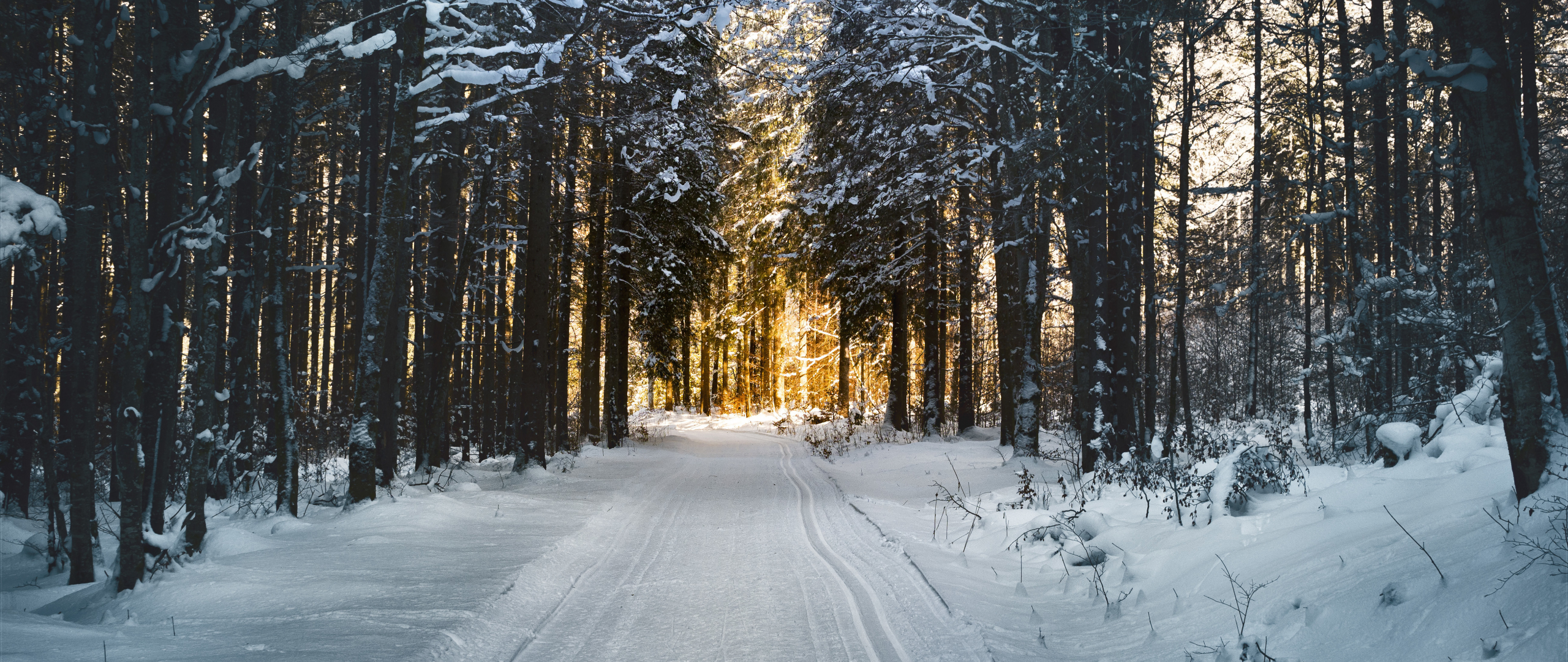 Download 2560x1080 wallpaper winter, snow road, trees, nature, dual wide, widescreen, 2560x1080 HD image, background, 956